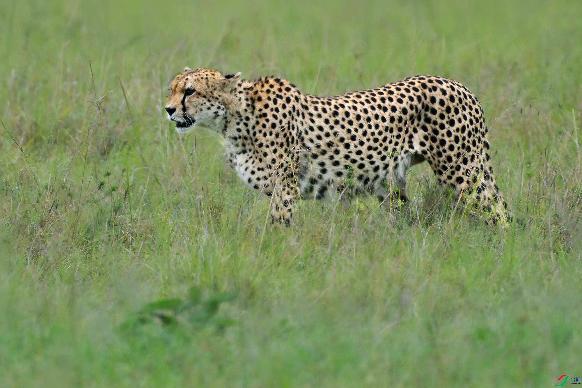 DSC_5348_.jpg