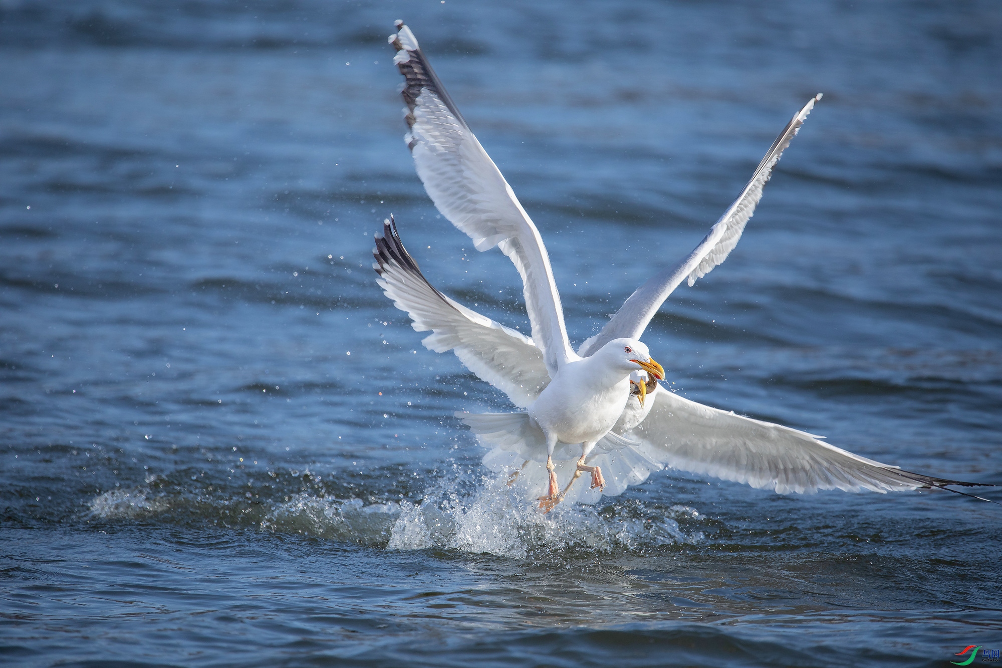 _U9A5613_.JPG