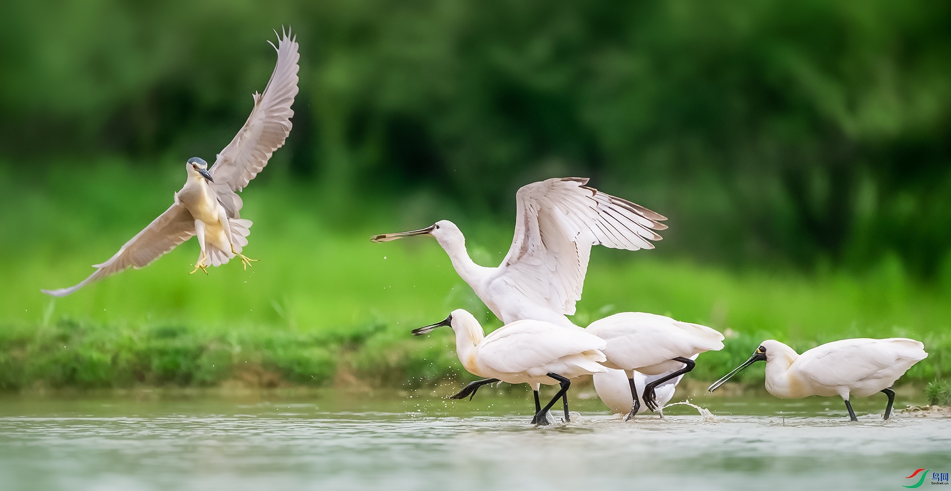 �������ء������ؼ�ҹ��