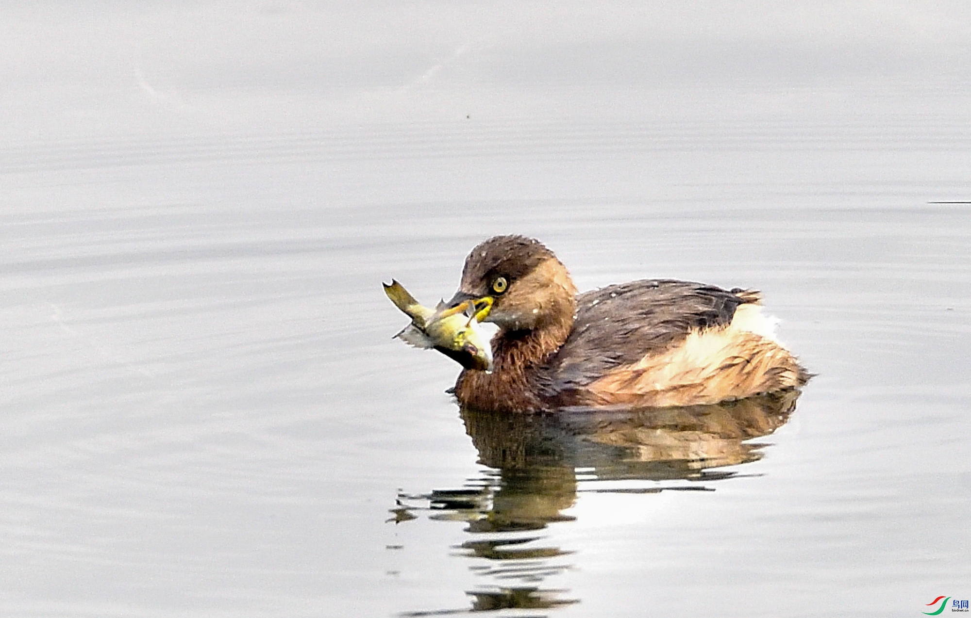 DSC_3609.jpg