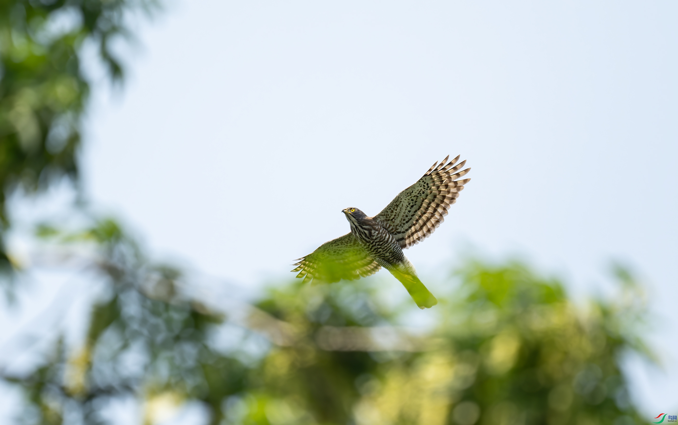 _DSC662-NEF_DxO_DeepPRIME-1.jpg