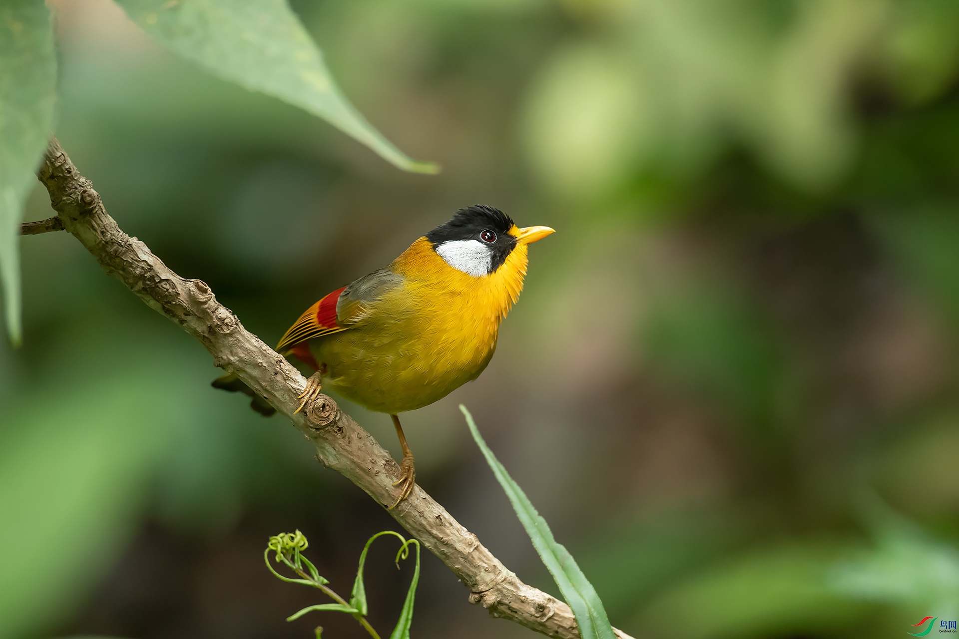 DSC_8097.jpg