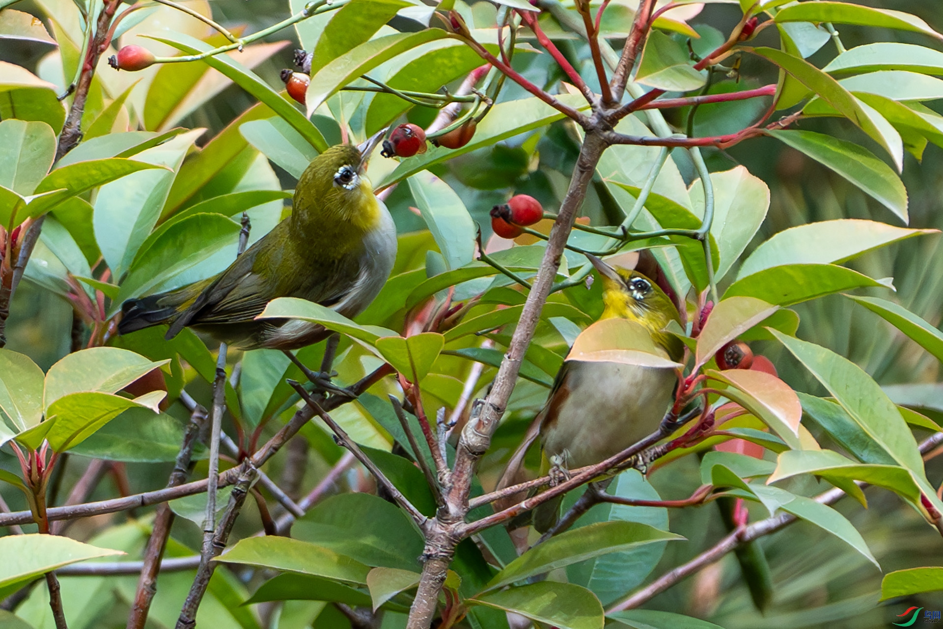 DSC04752-����ǿ-NR ����.jpg