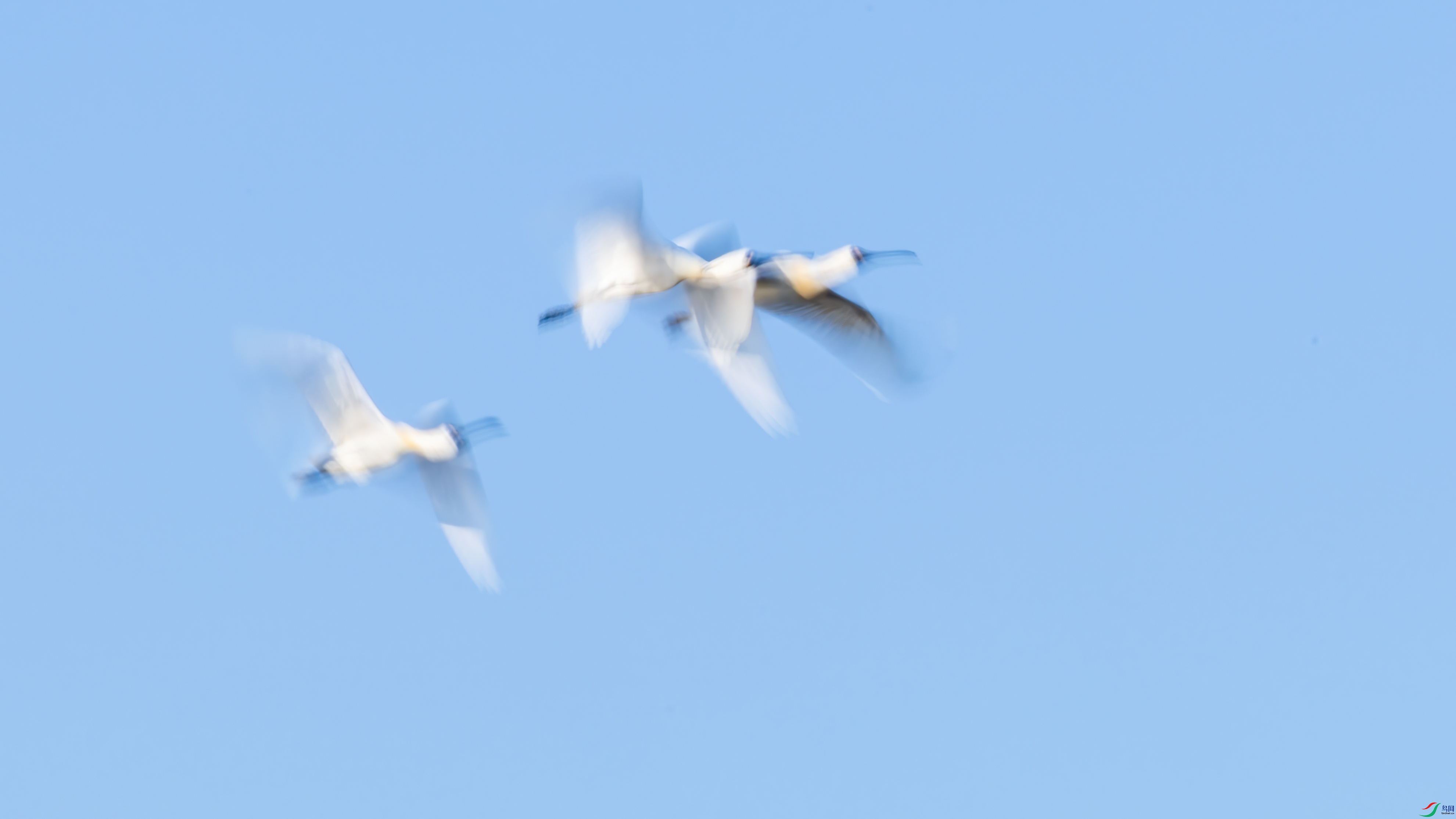 845A6655.jpg