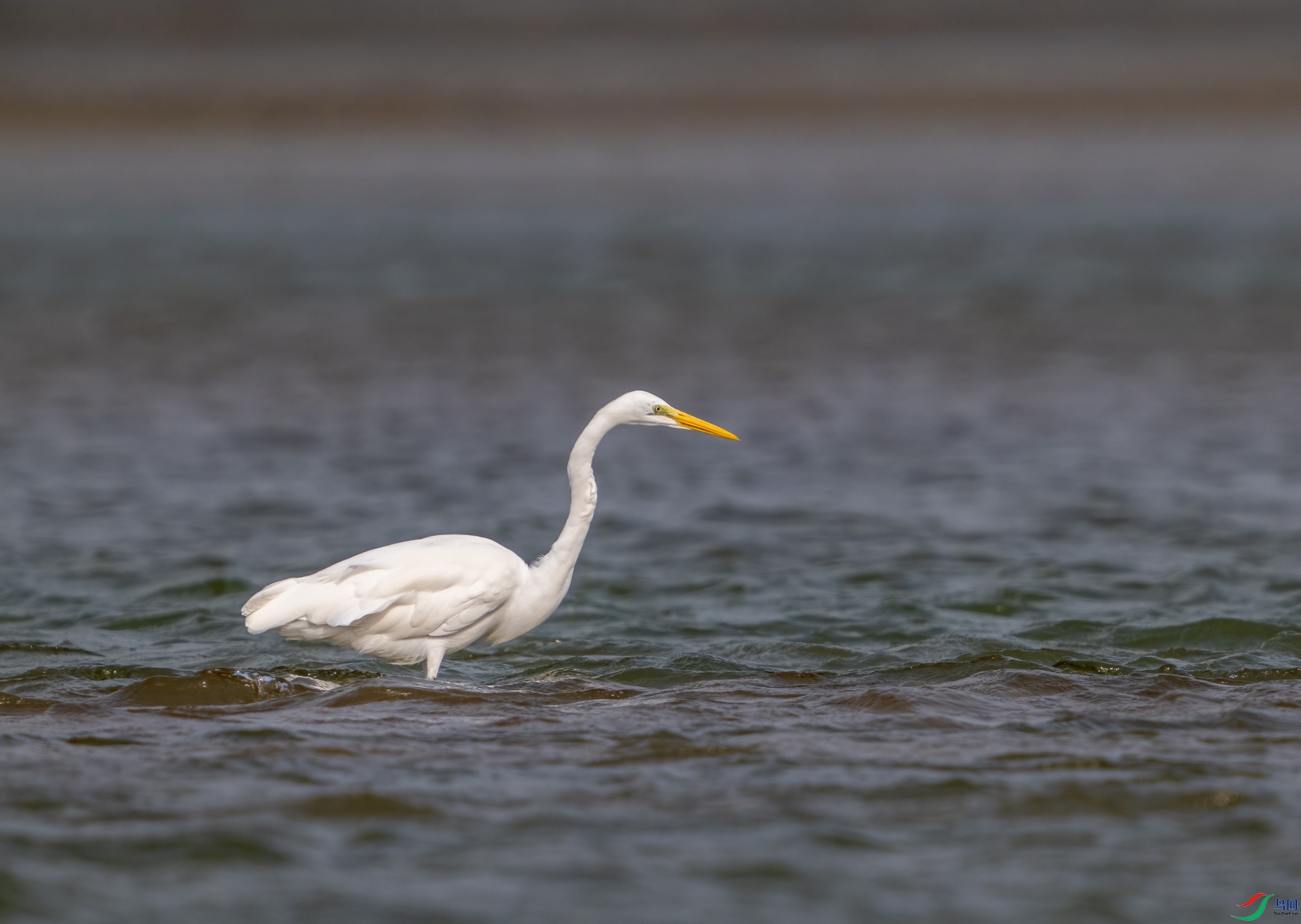 DSC_0396.jpg