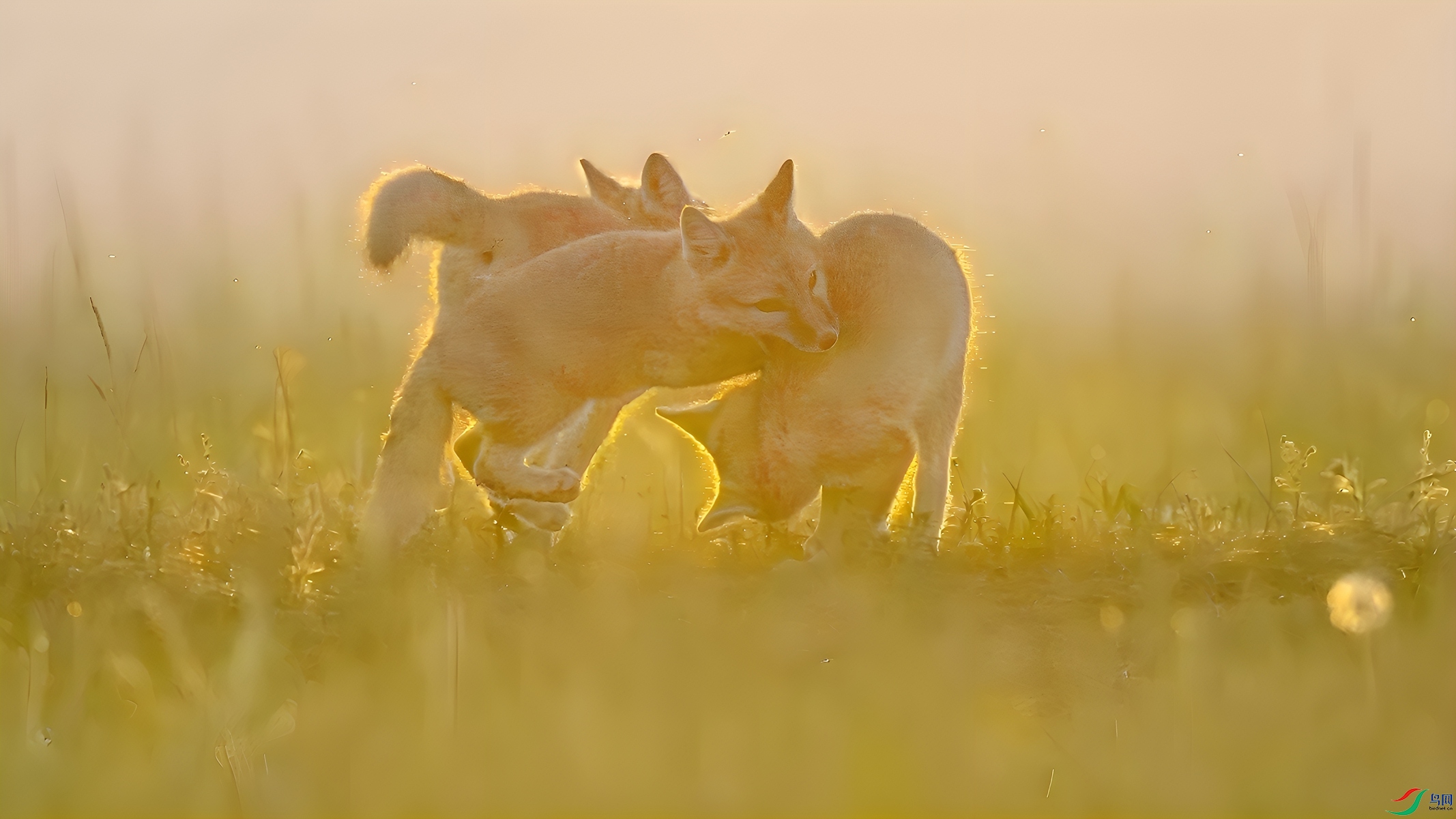 _DSC4779.jpg��Ϸ_����_����_����_����.jpg