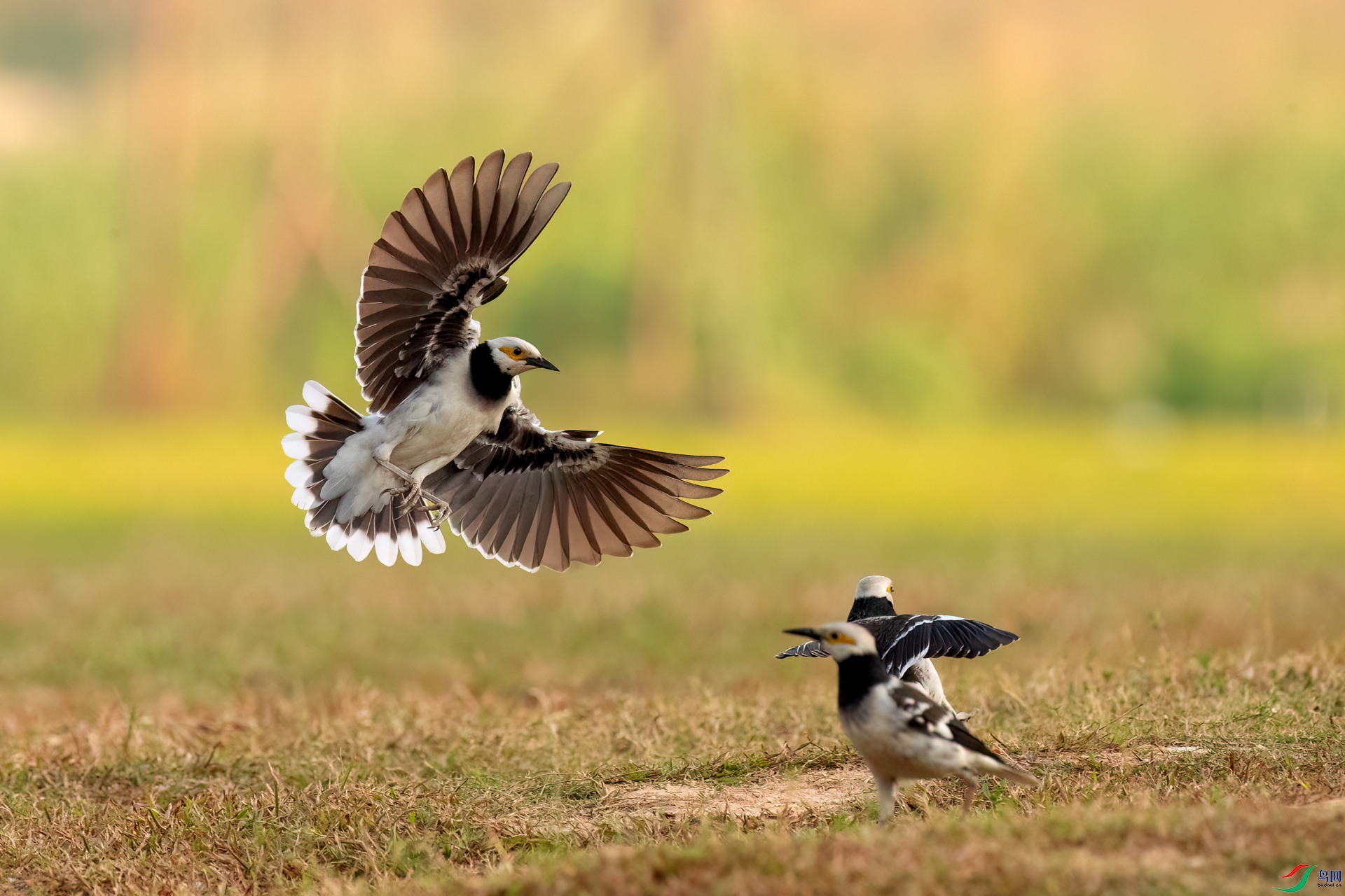 B86I4135 _����.jpg