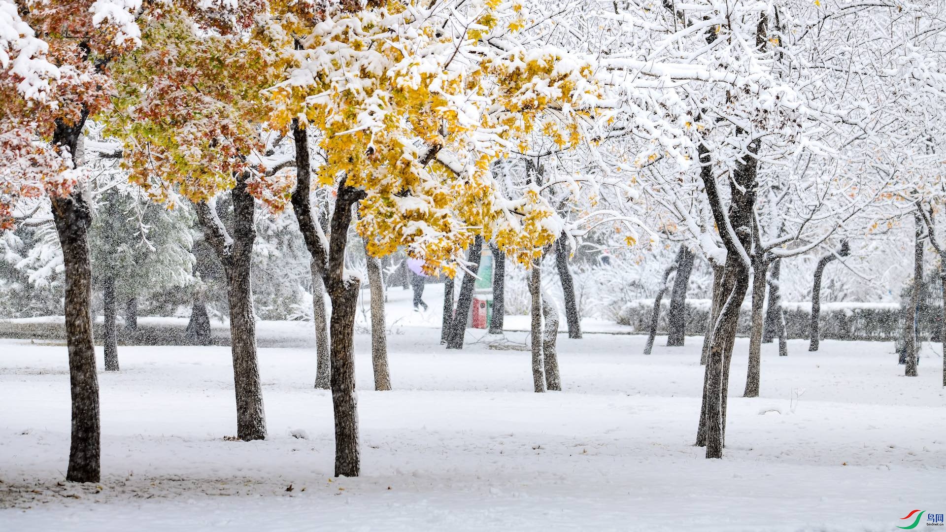 1-5XXL_1531 ����.jpeg