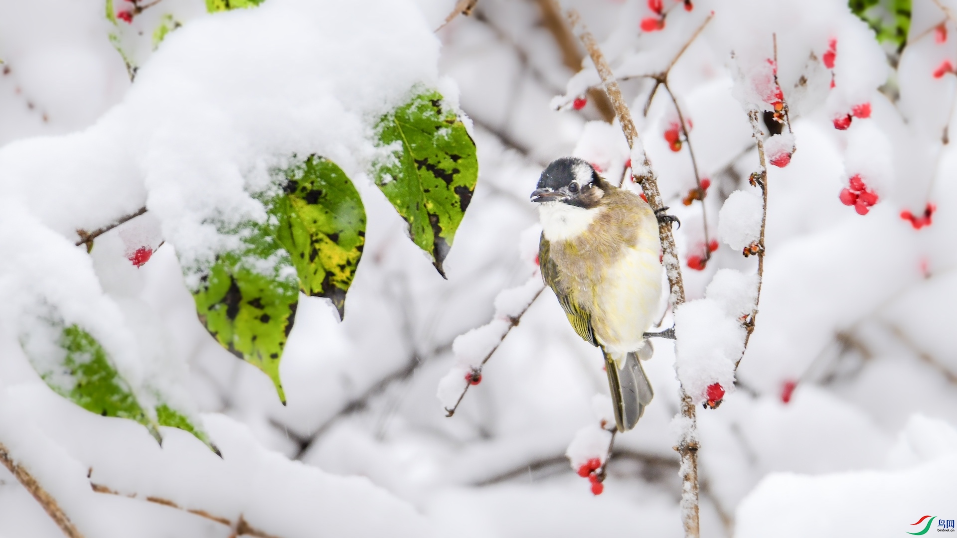 1XXL_1447 ����.jpeg