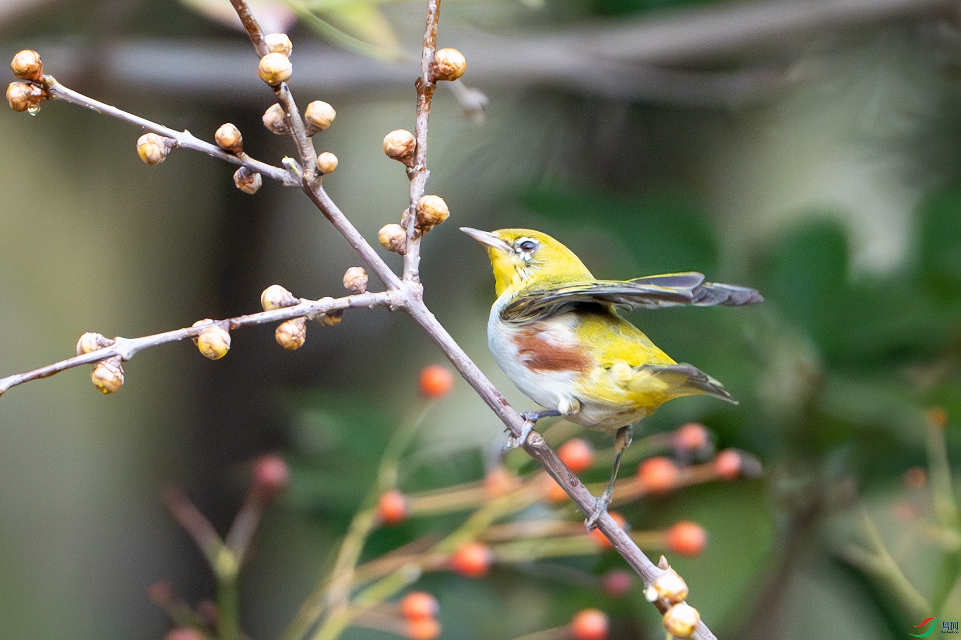 DSC04870-����ǿ-NR ����.jpg