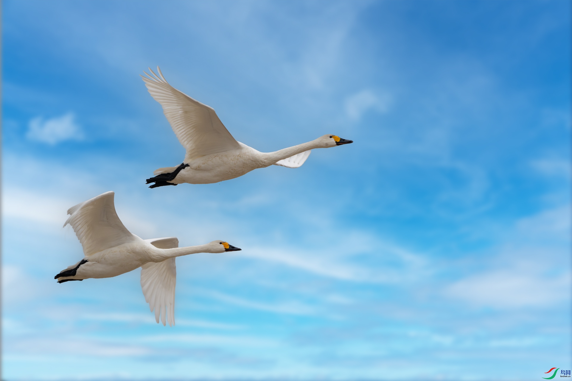 _DSC0153-����ǿ-NR ����_1.jpg