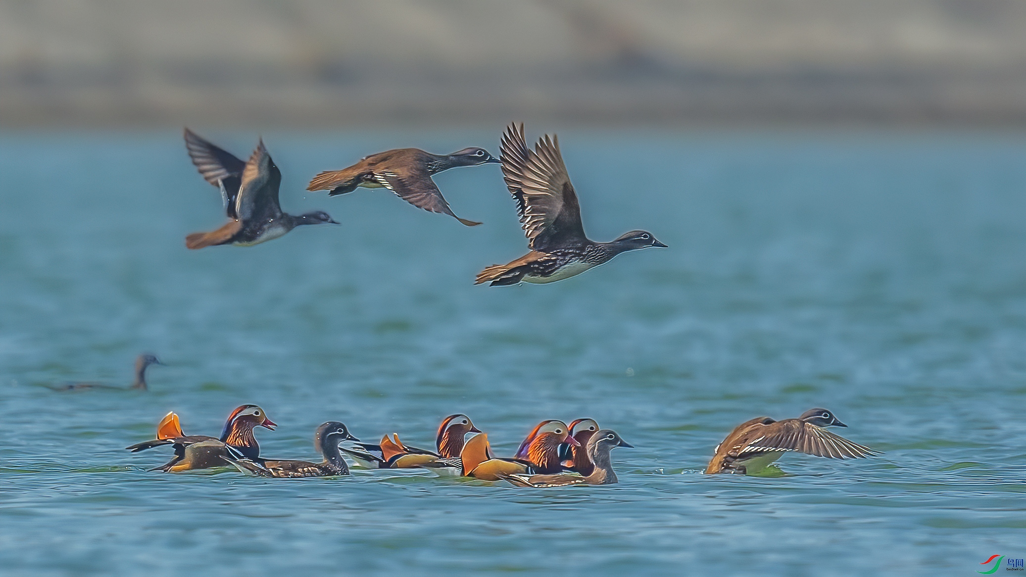 C09R9279 ����.jpg