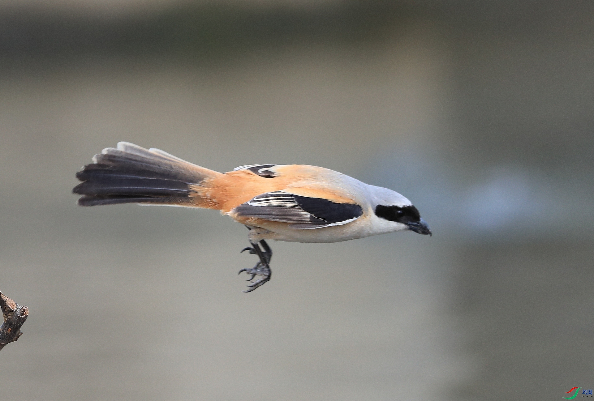 AI0I1632 ����3.JPG