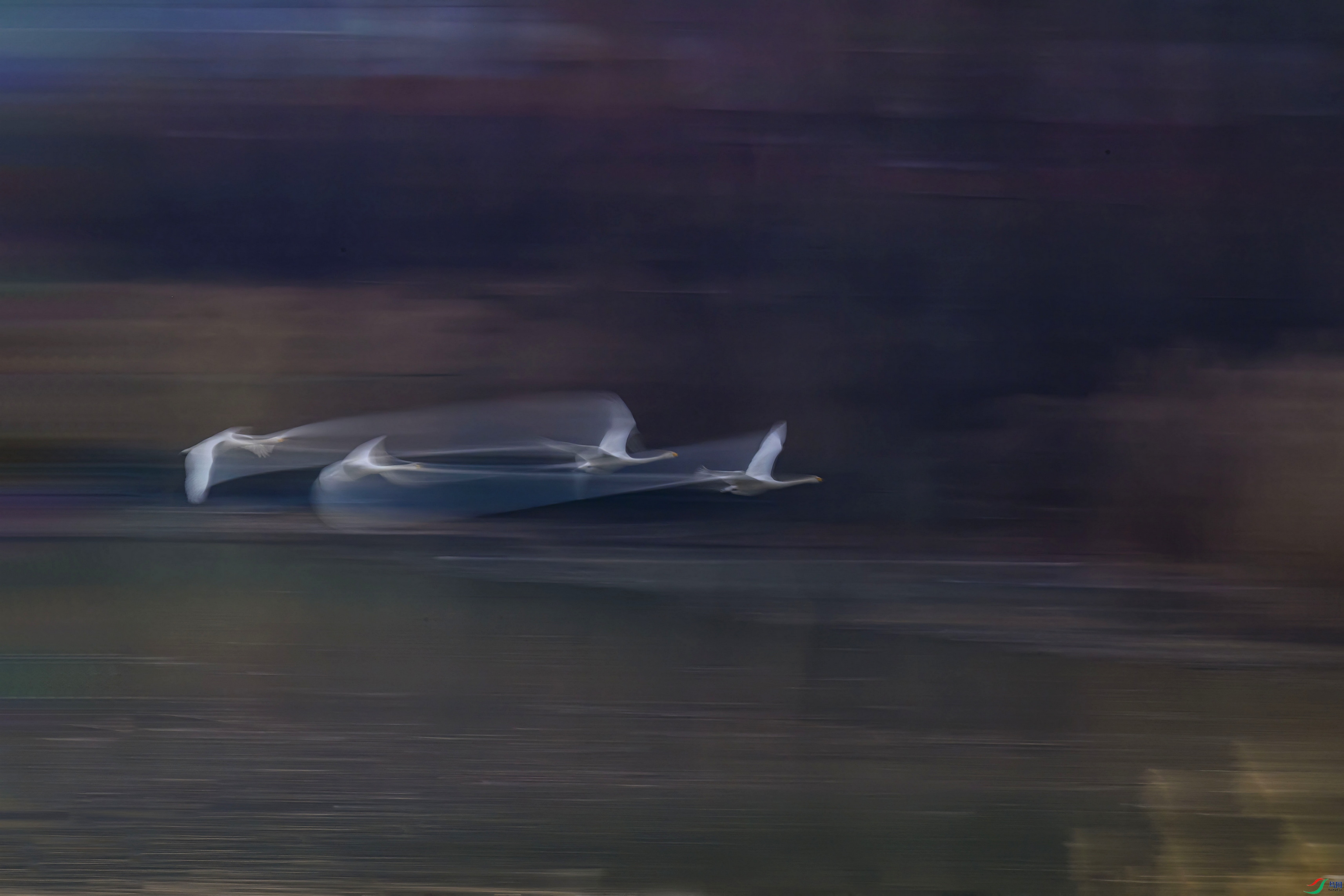 _DSC7454 ����F001.jpg