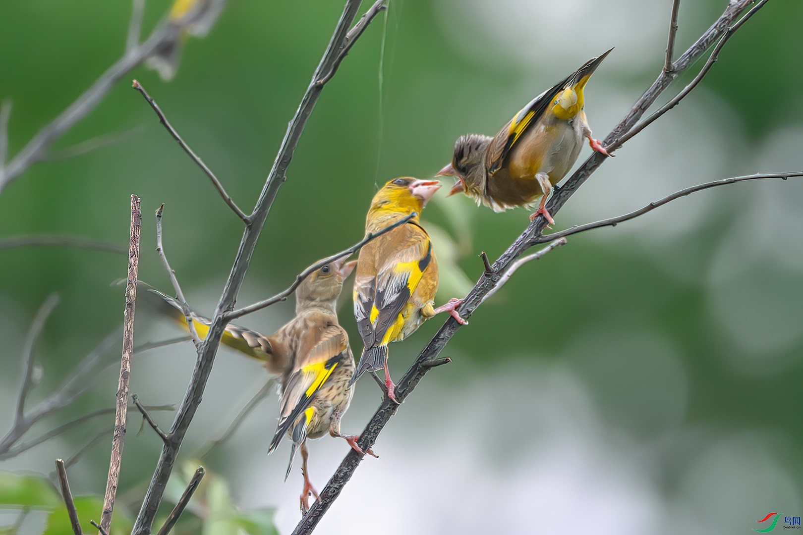 DSC_1315.jpg