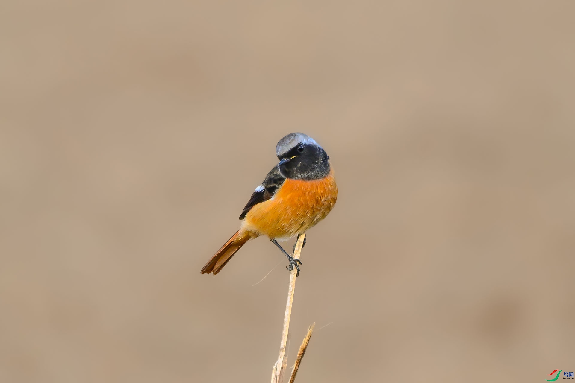 DSC_6780.jpg