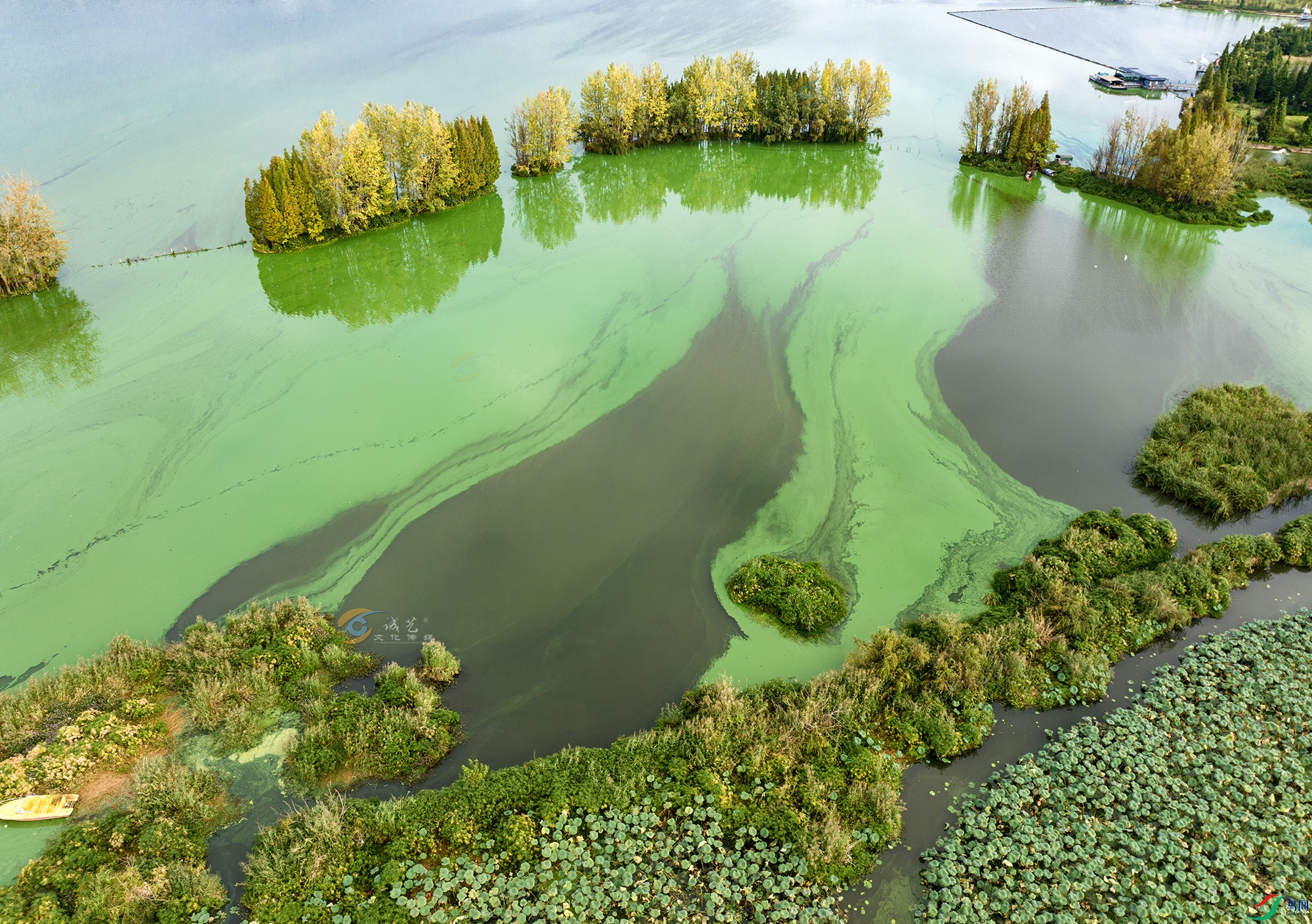 DJI_20241005074218_0150_D ����11.jpg