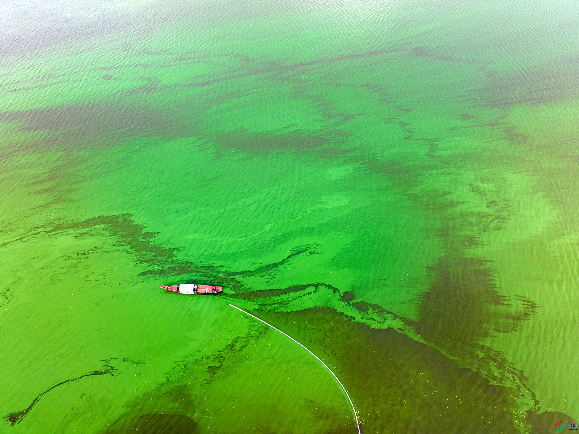 DJI_20241005082042_0221_D ���� 2.jpg