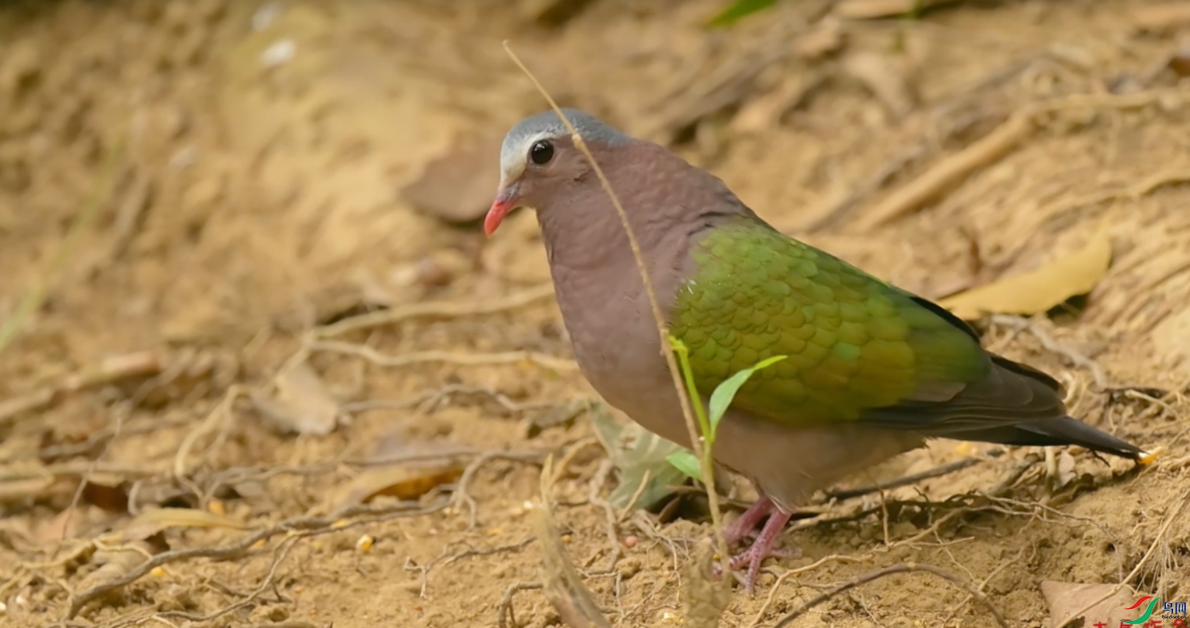 {A6D480F1-C706-4A64-BAB0-58E7E297159E} ����.jpg