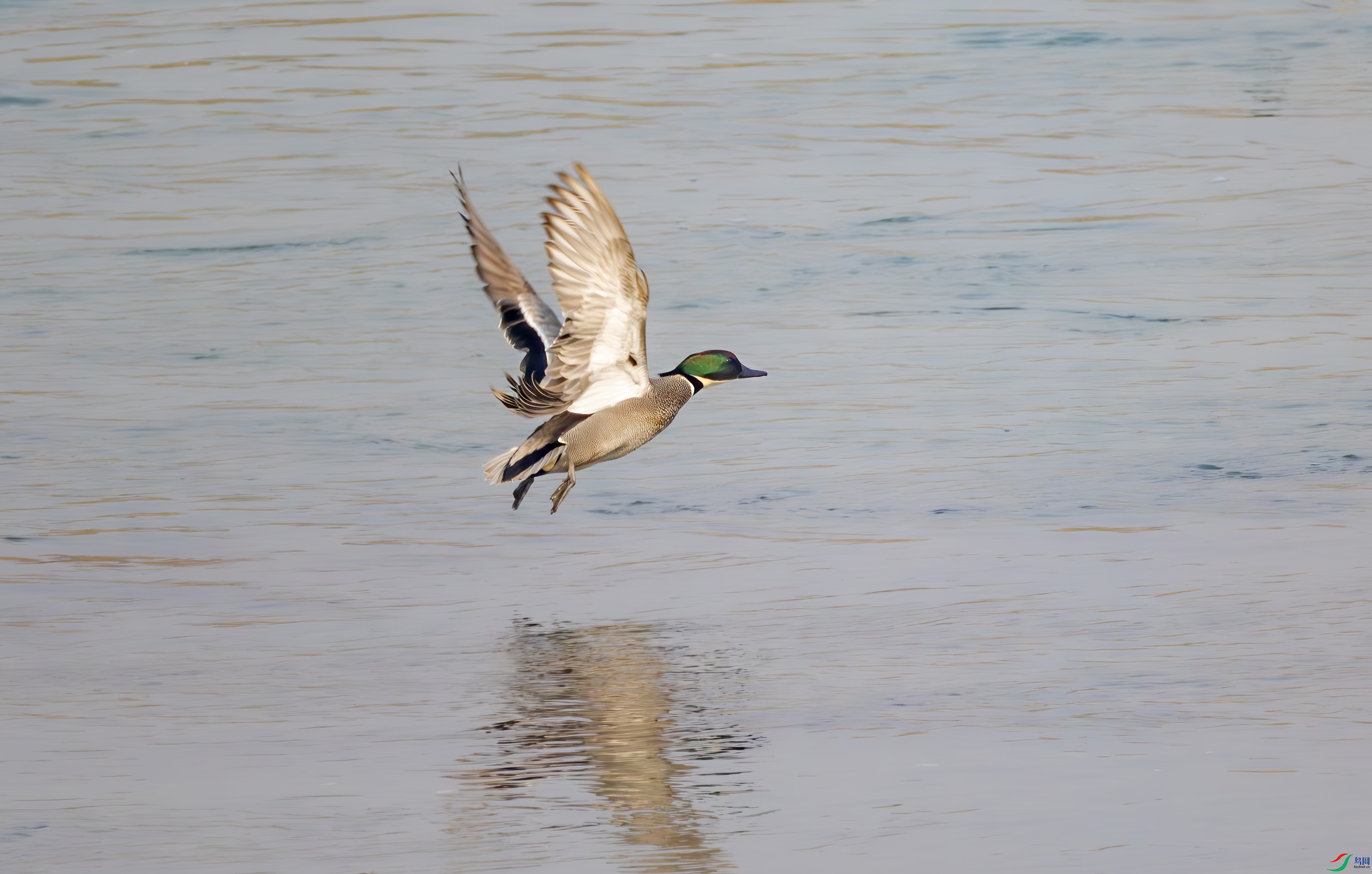 2I1A9738-����ǿ-NR ����.jpg