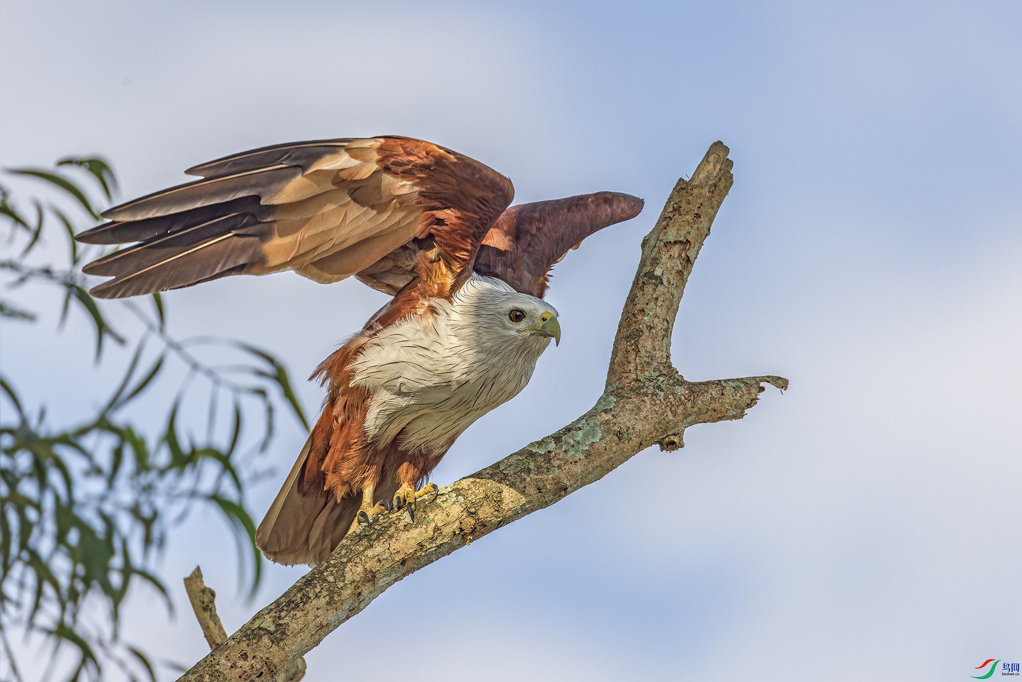 _97A7258-CR3 copy.jpg