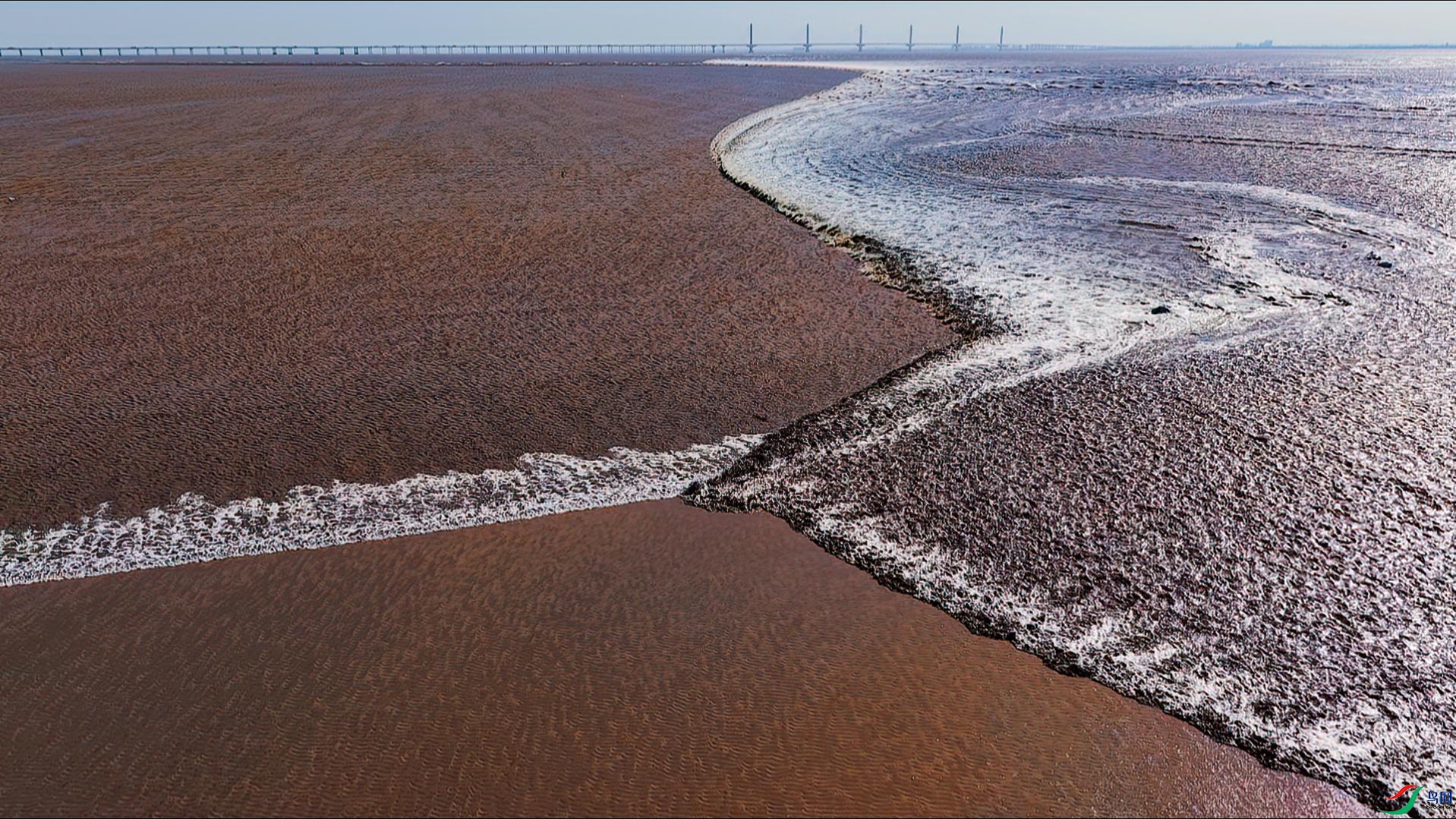 Ǯ�����۳�