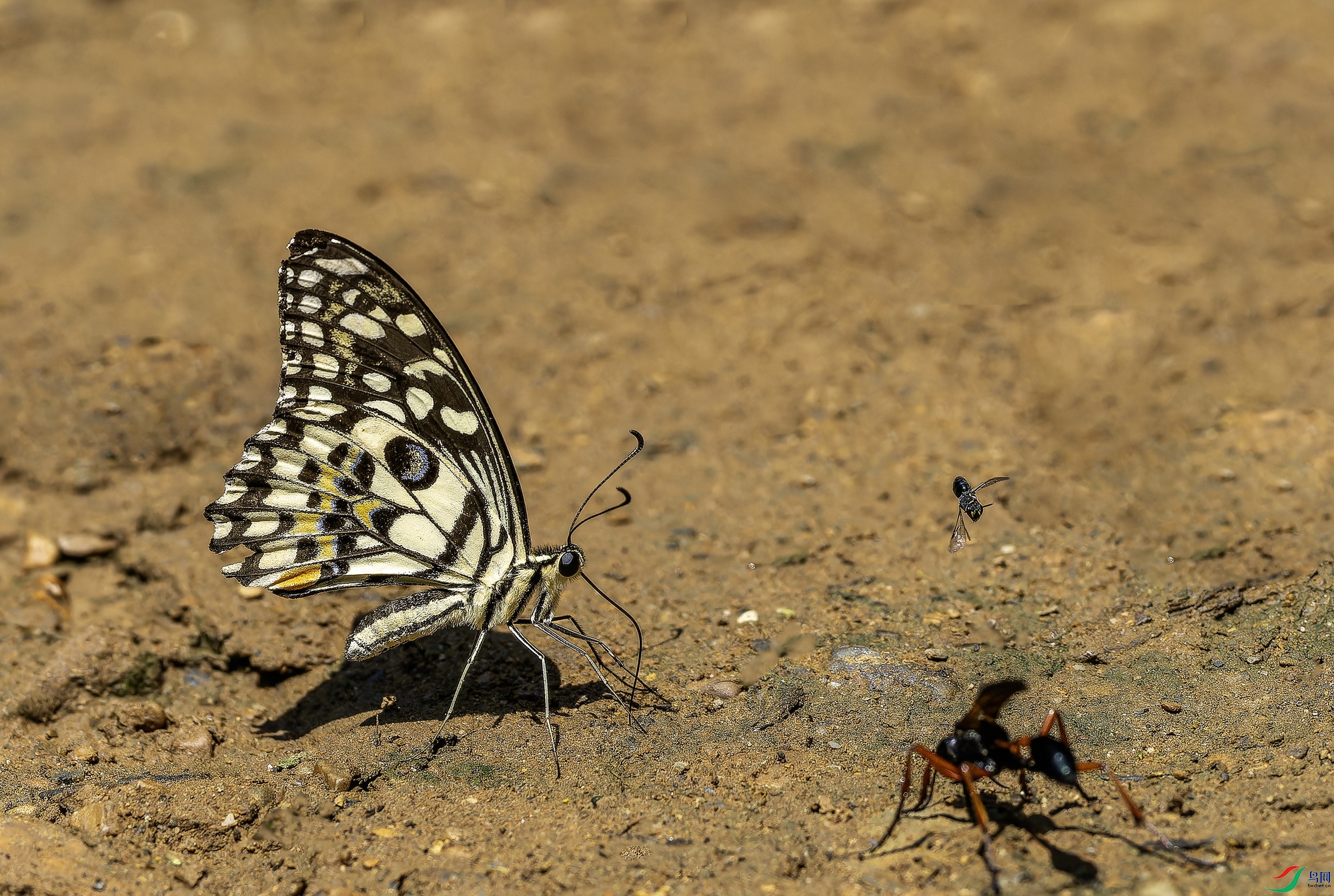 ��Ħ��� (1)-1.jpg