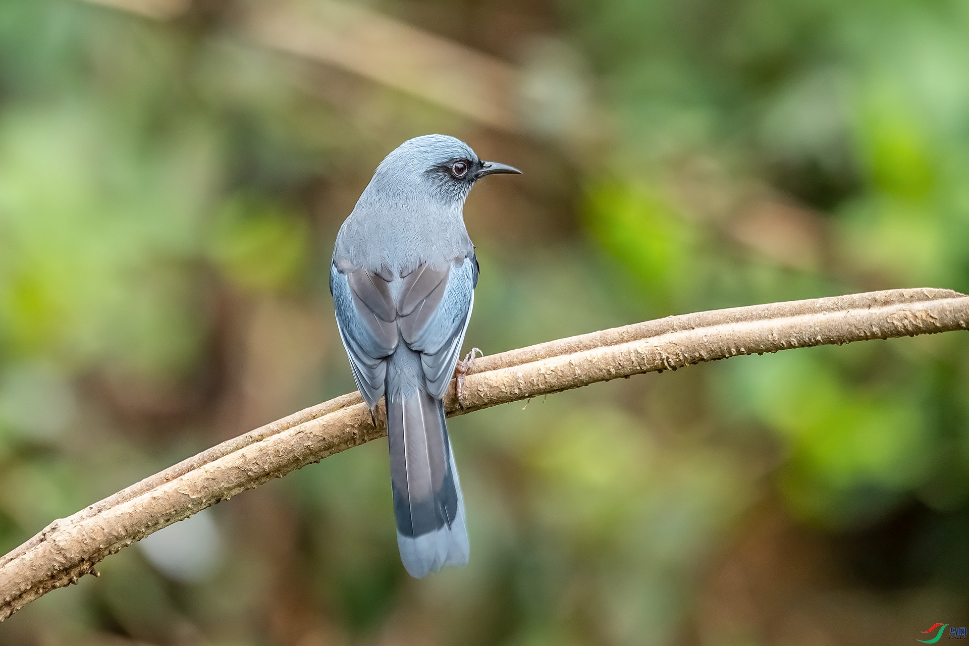 DSC_2702.jpg