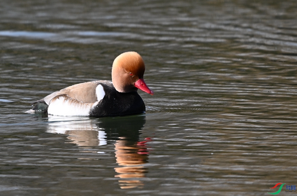 DSC_5675.JPG