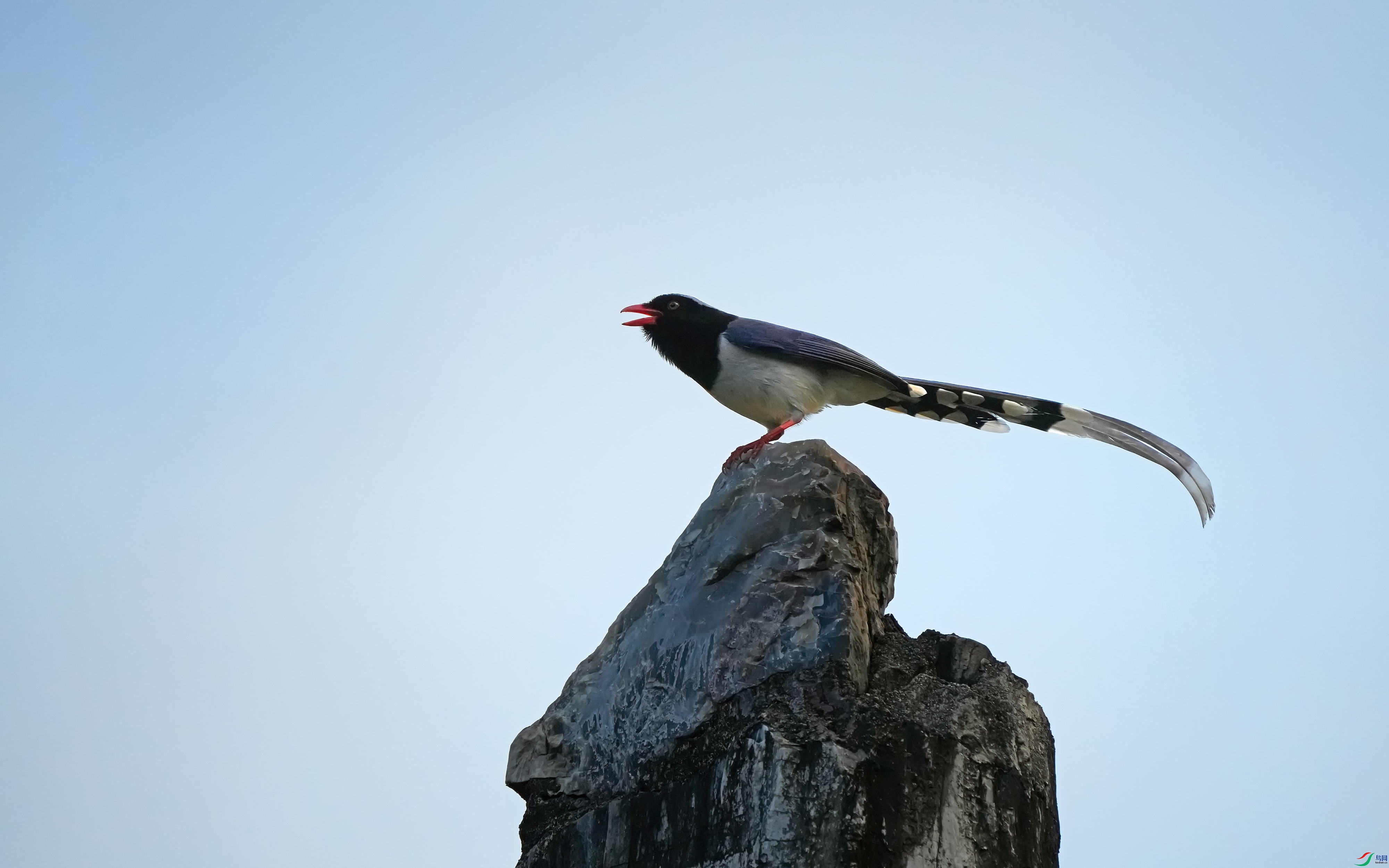 DSC01355 ����.jpg