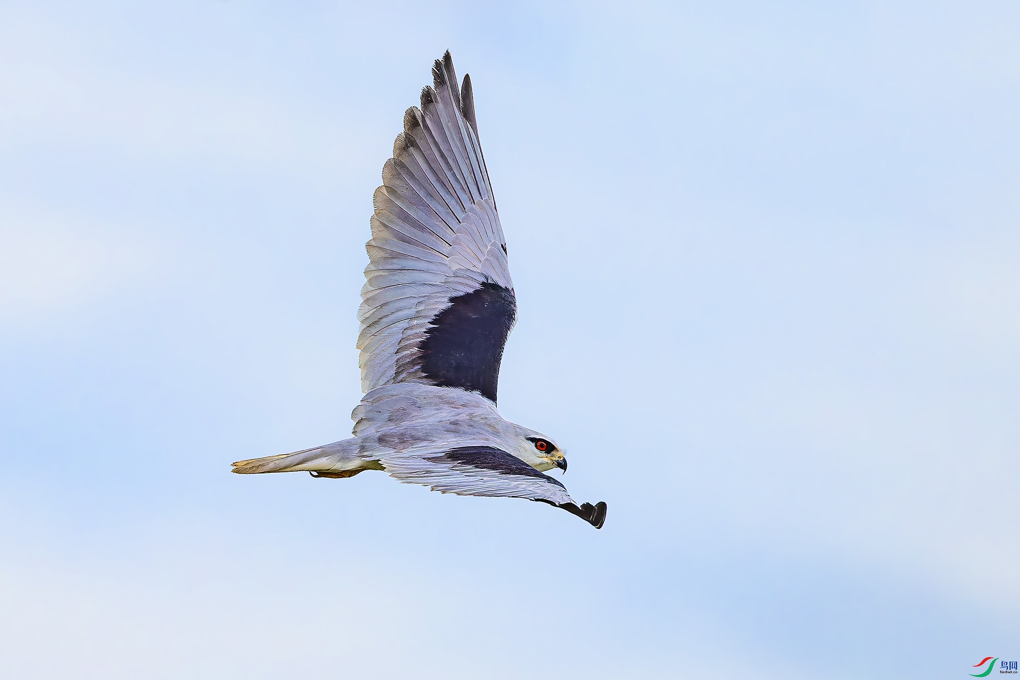 _97A1319-CR3 copy.jpg