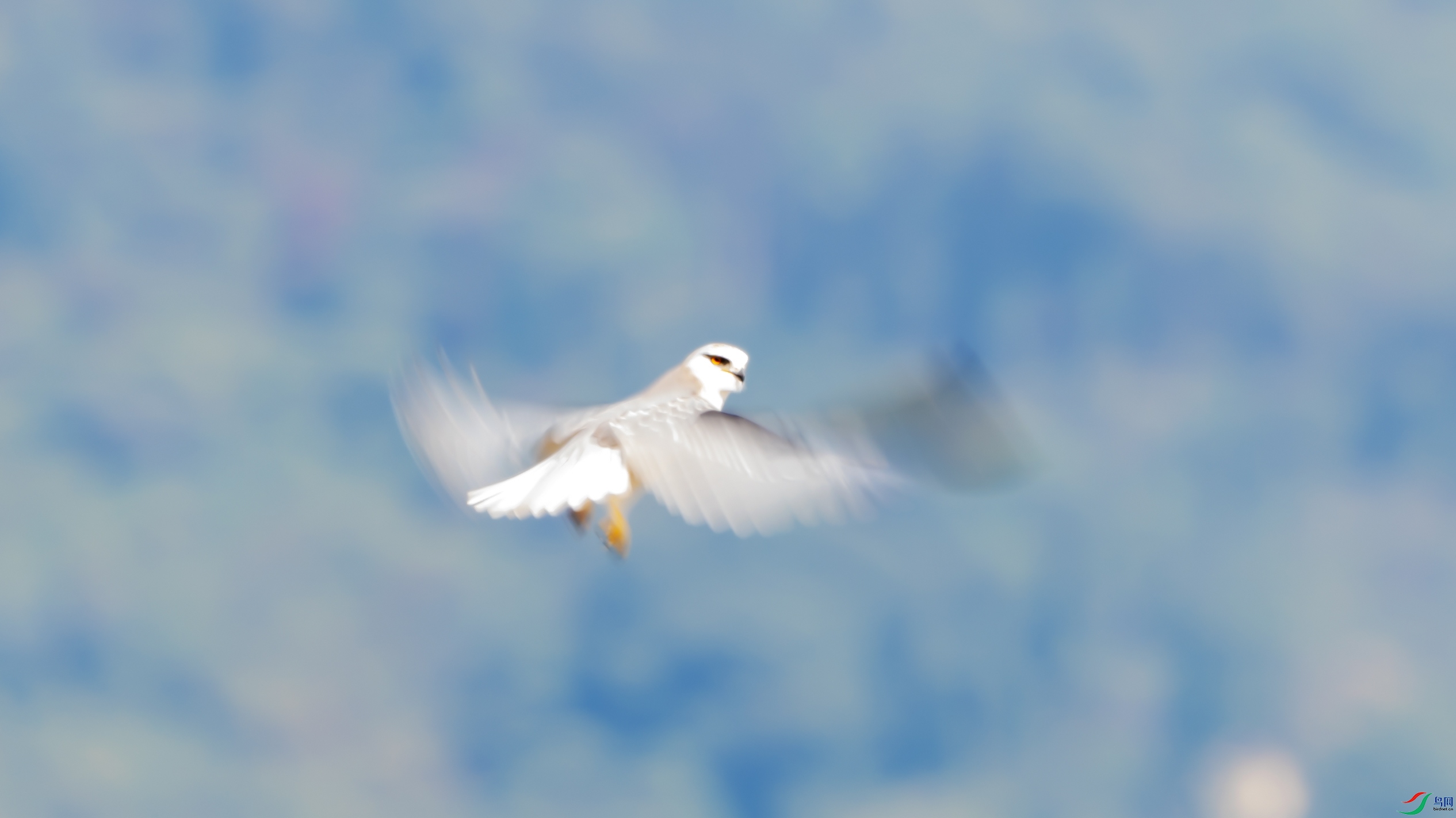 Z14_4435.jpg