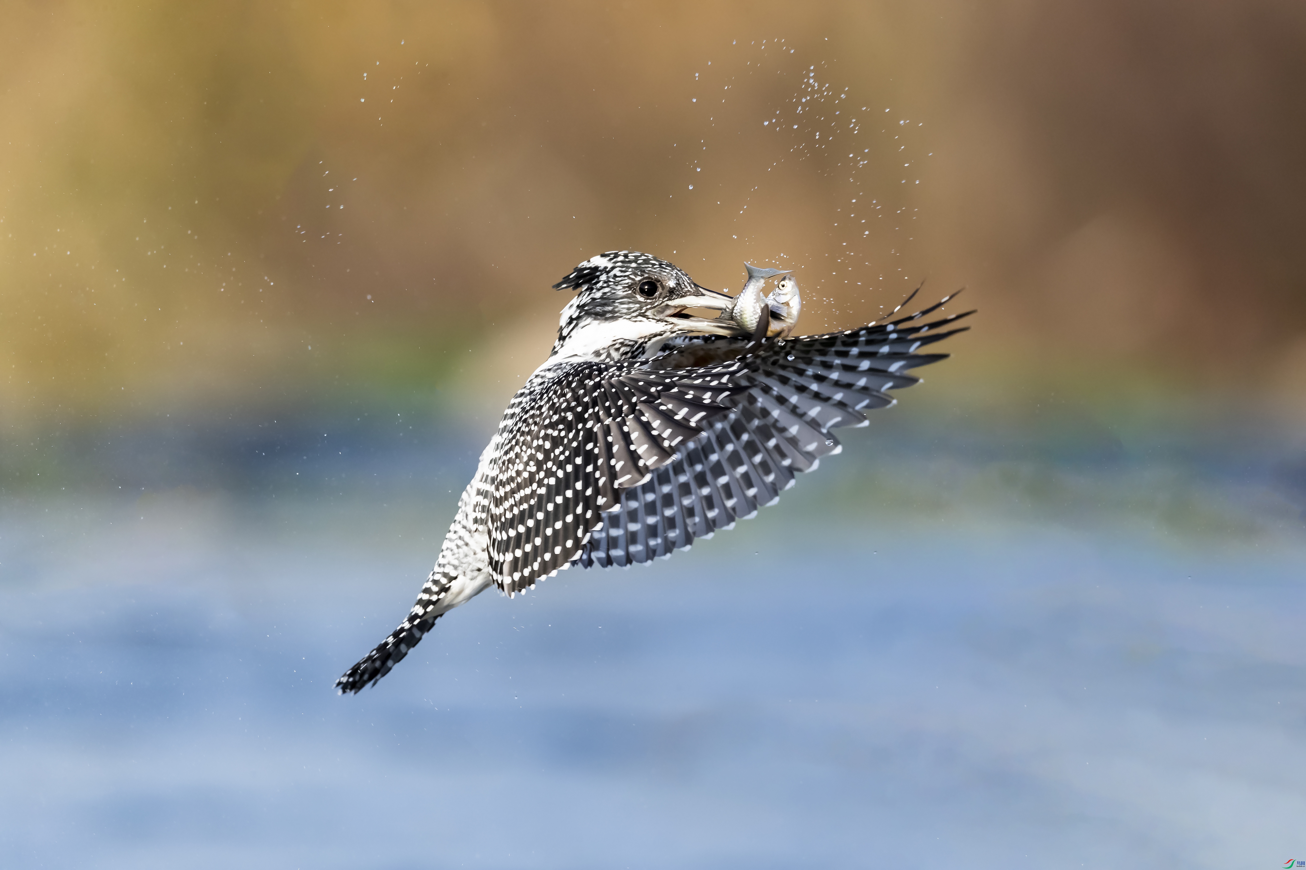 AJ9I3766.jpg