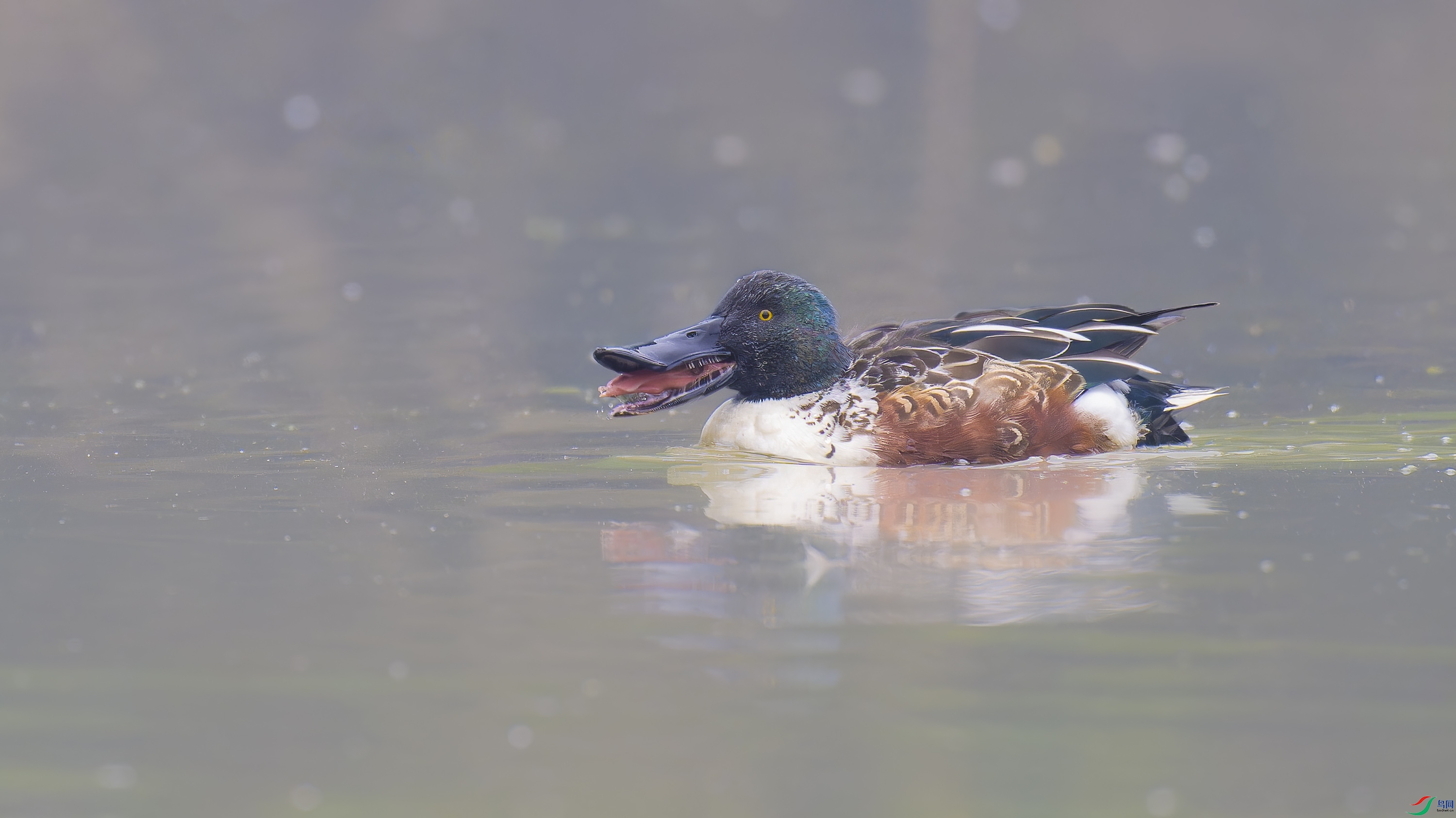 DSC_7831_DxO.jpg
