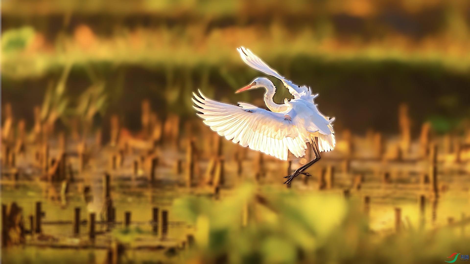 1_XXL0501-1 ����.jpeg