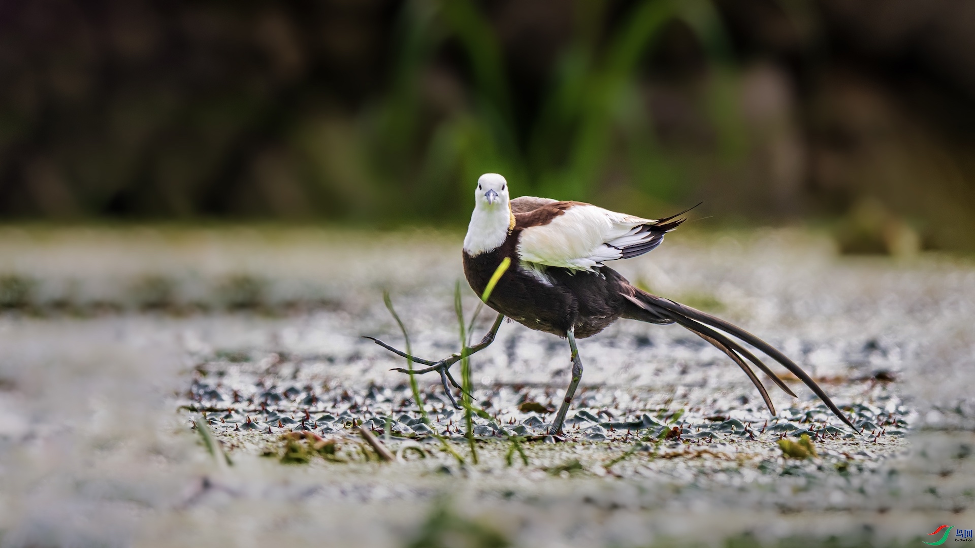 1-26 ����.jpeg