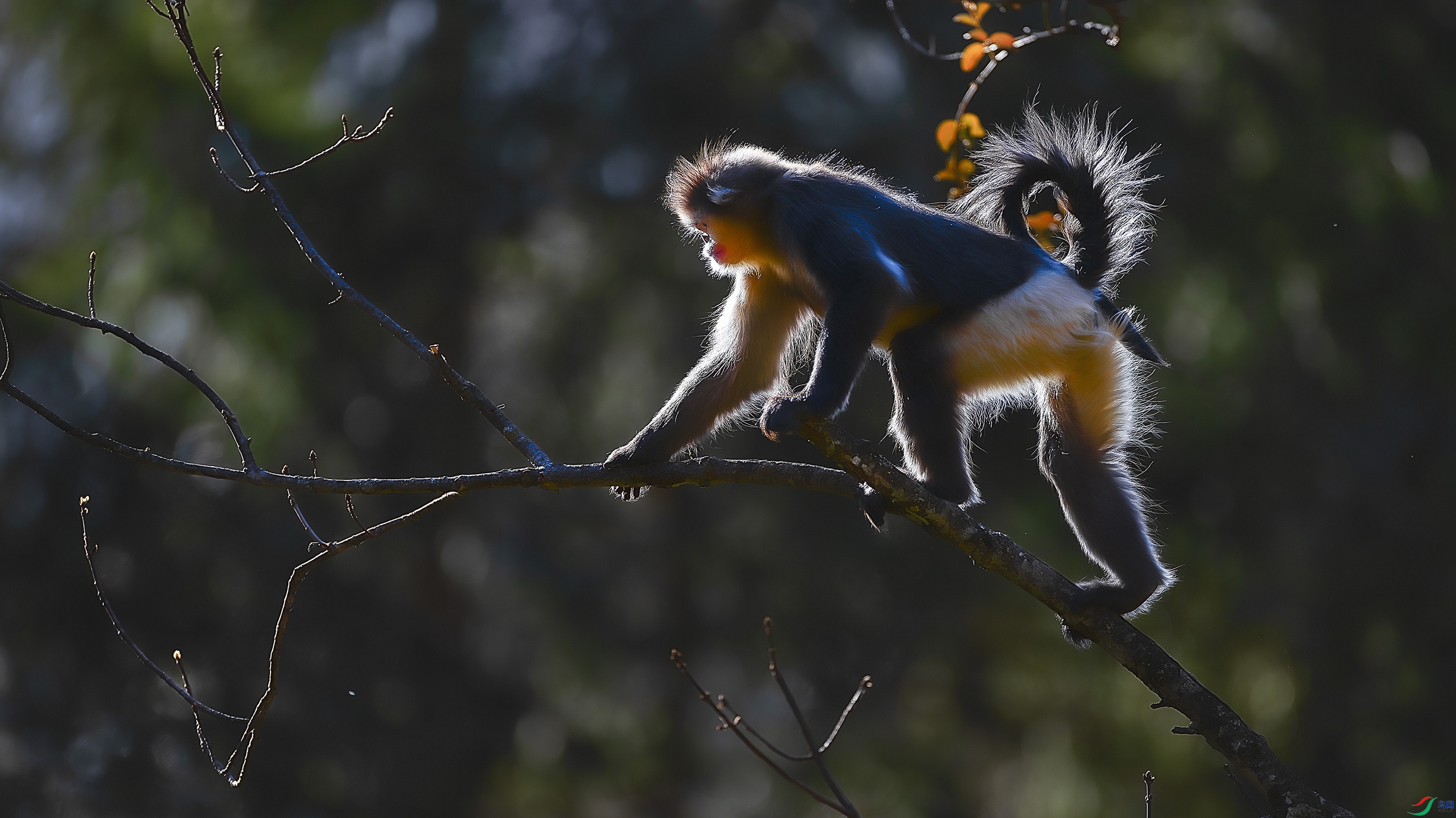 ������µľ��顷