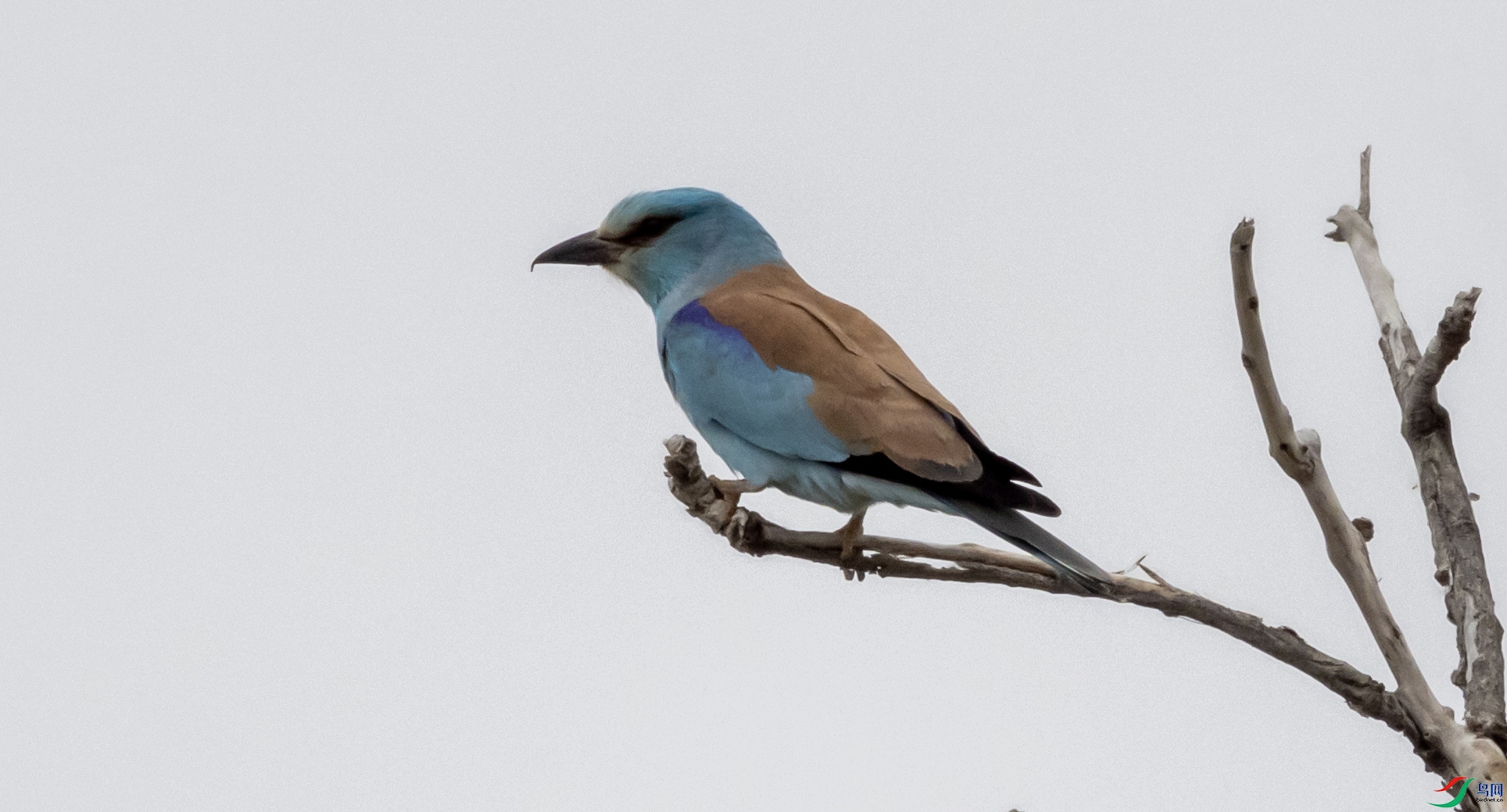 38 ���ط�ɮ ����.jpg