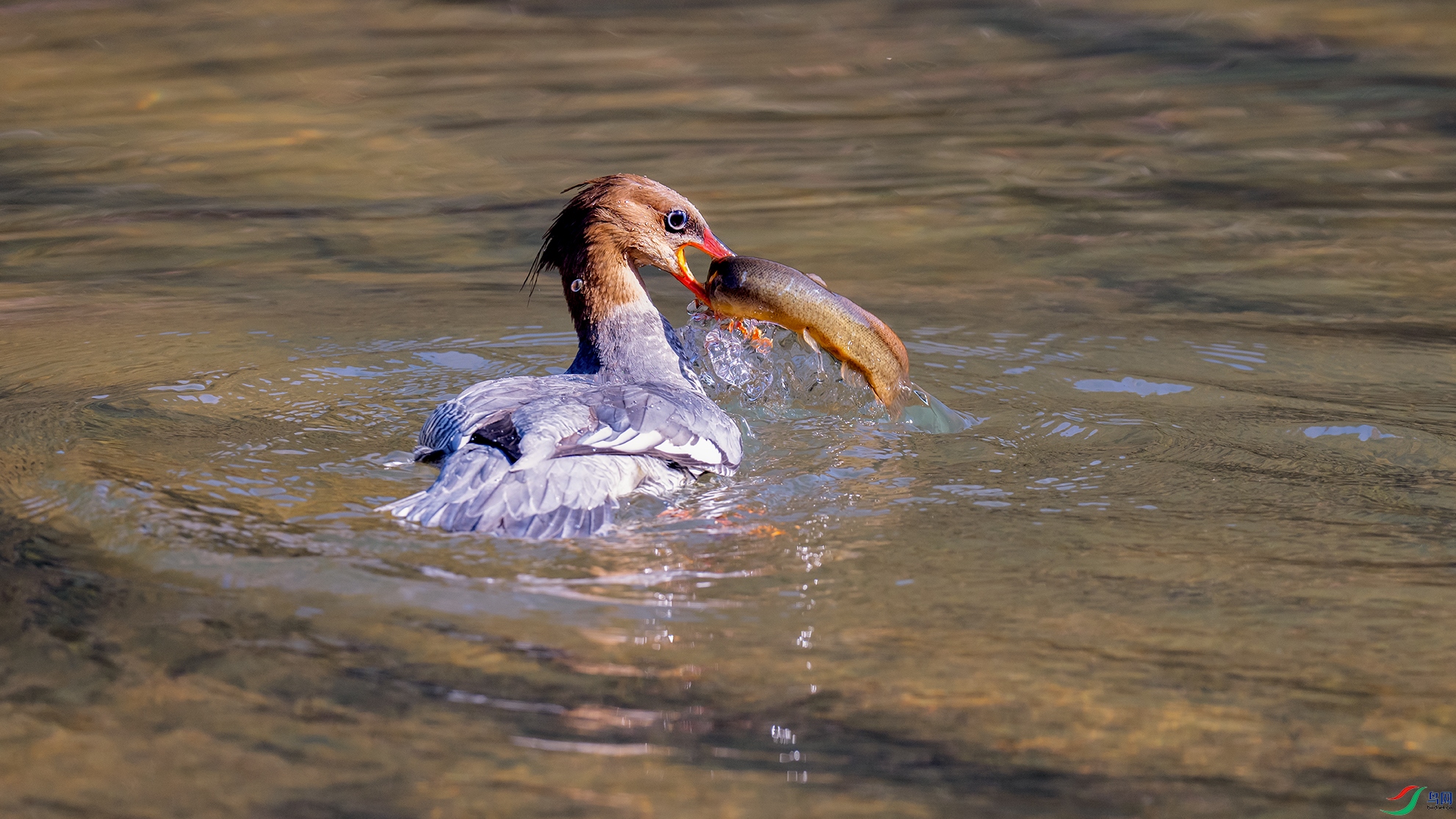 _DSC1666_��ͼ�� ����-1.jpg