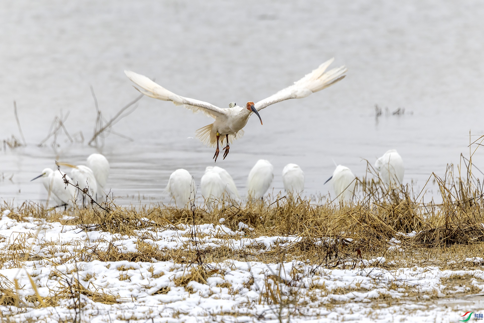 ����Ҳ�����q��