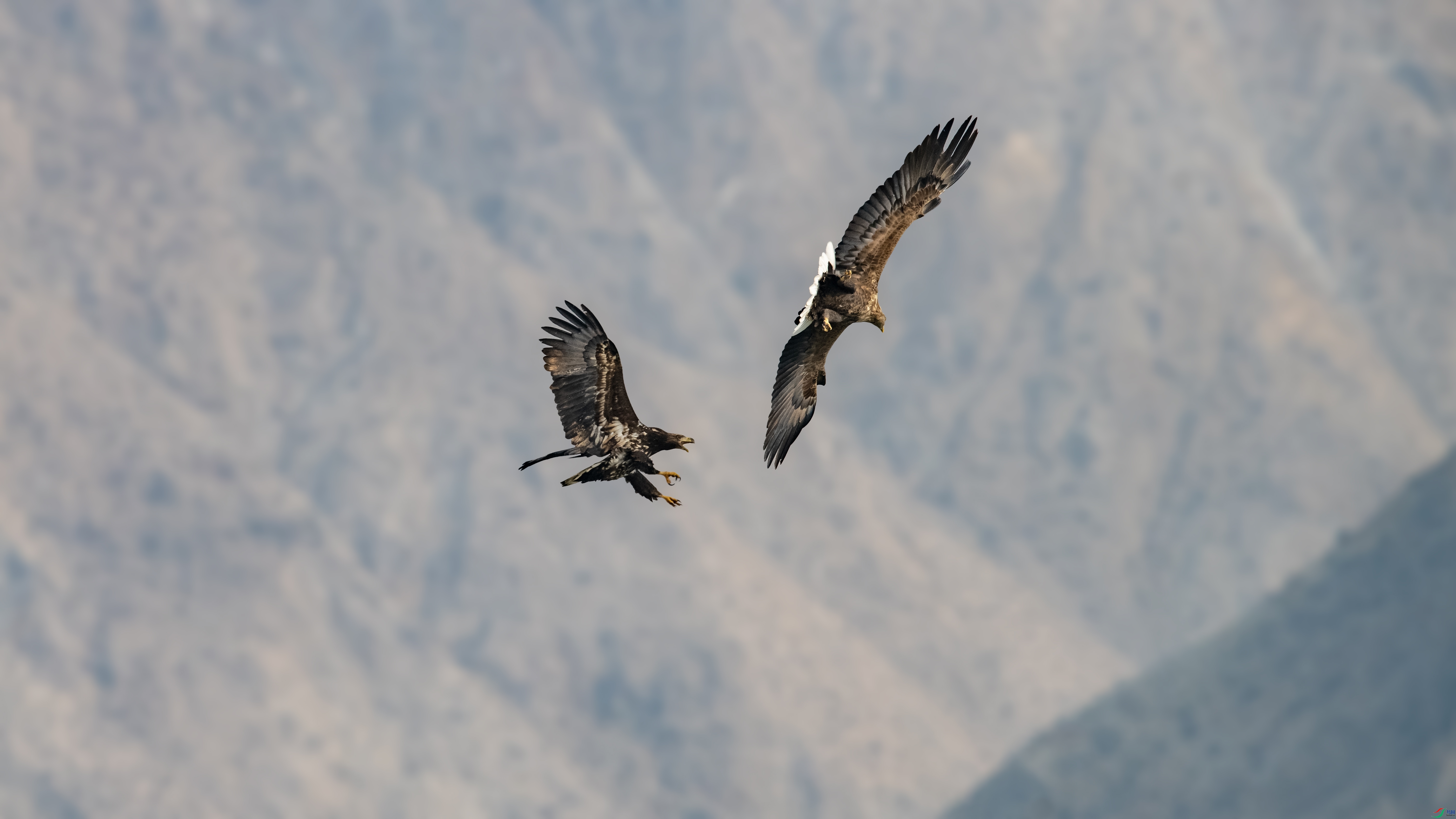 _DSC2220 ����.jpg