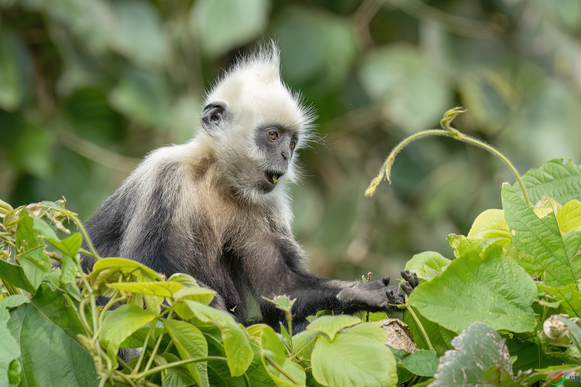 B86I3837 _����.jpg