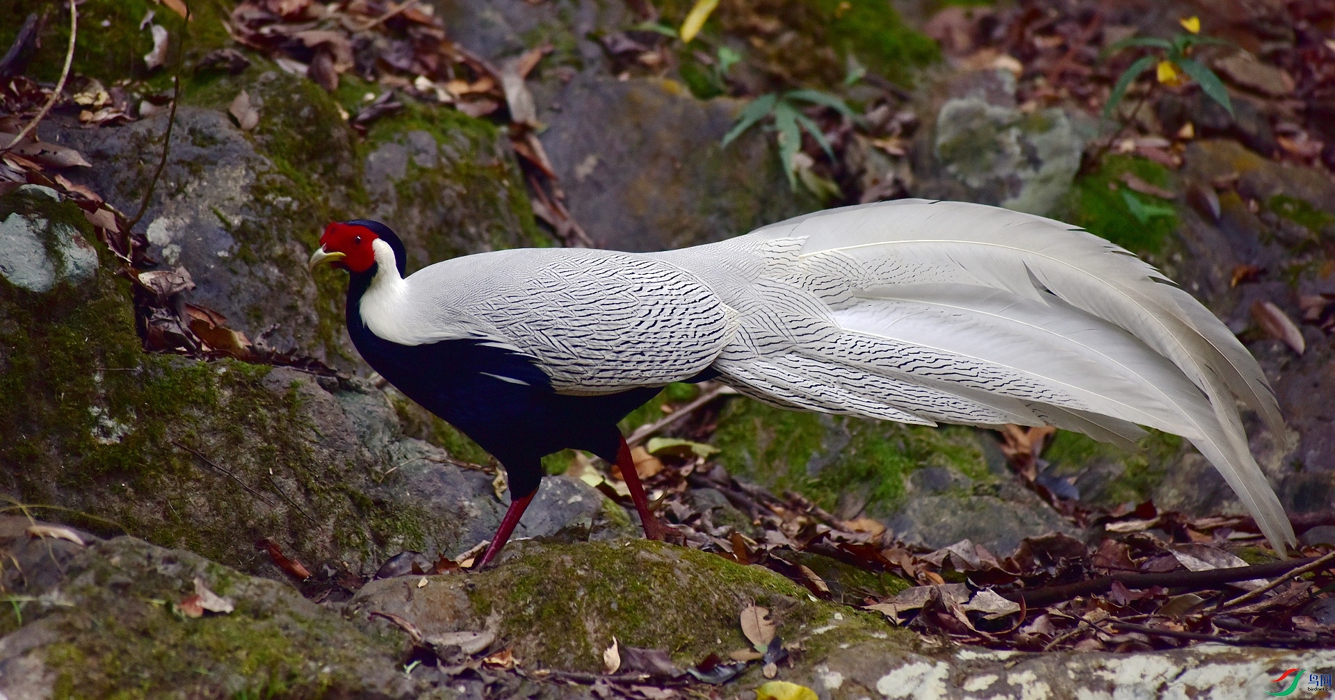 D8I_3951.jpg