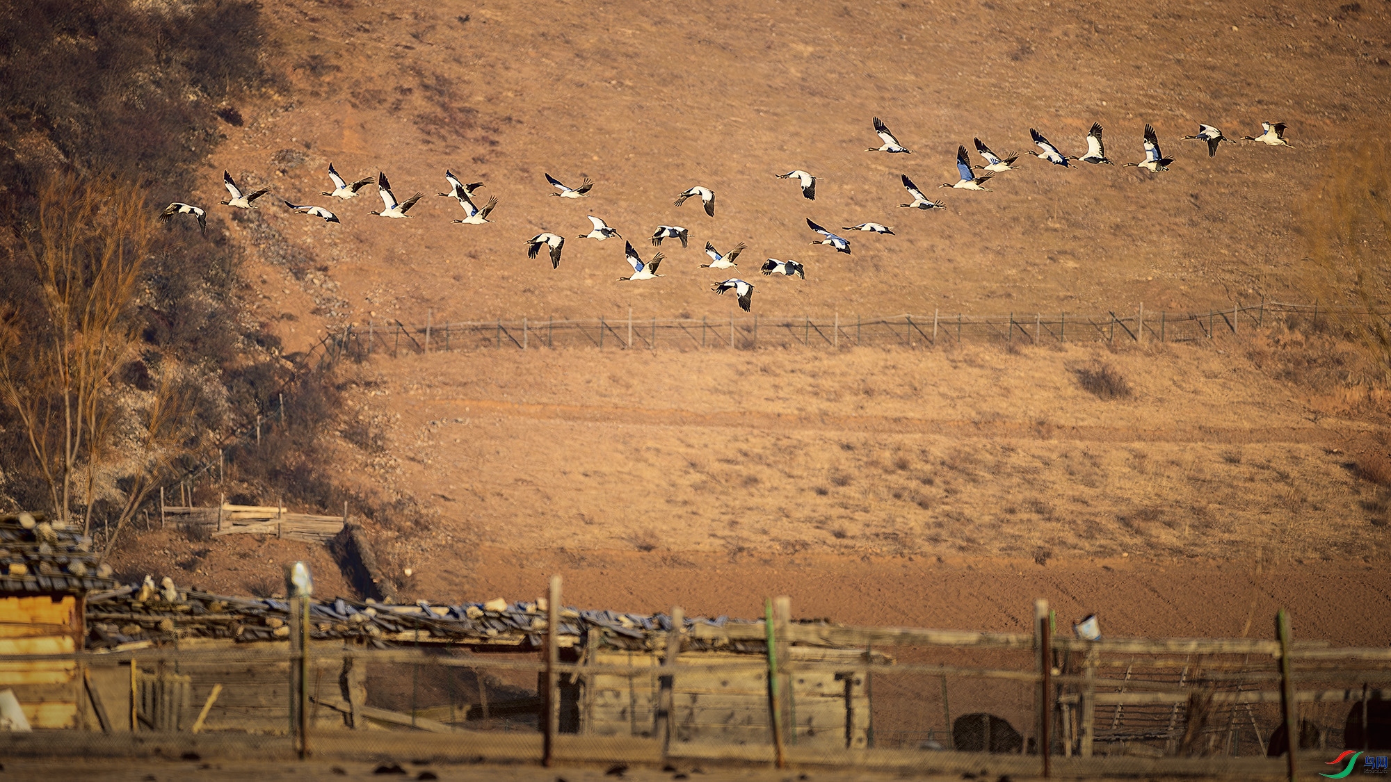 ������Ȼ