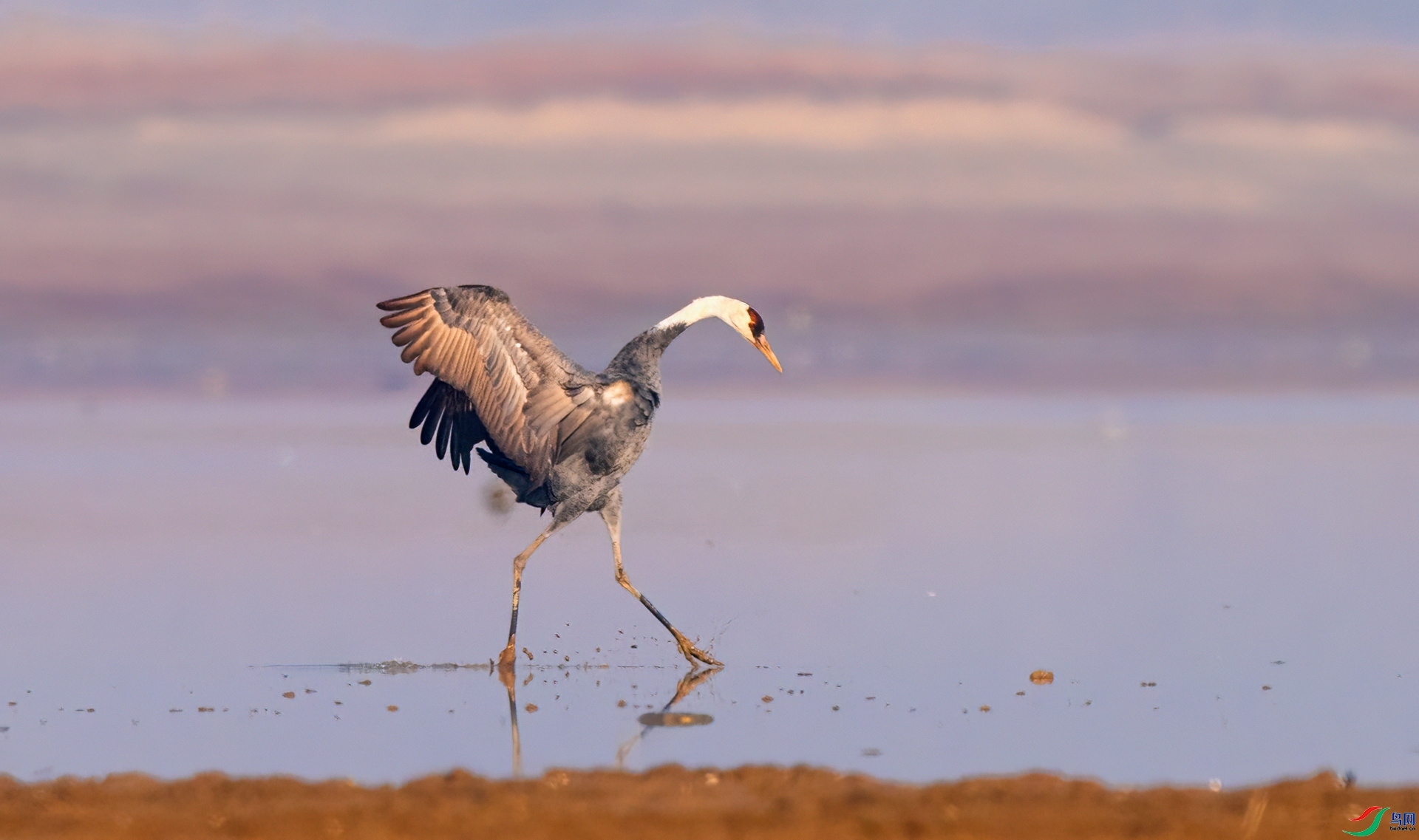 ÿ�ռ��� ����  ���� ����ʽ ����.jpg