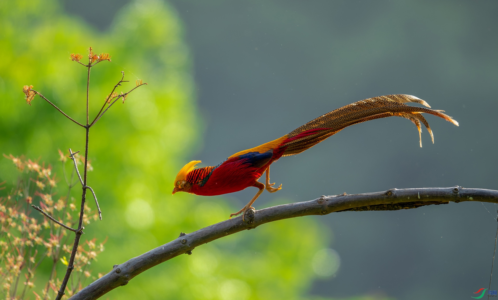 DSC_9262-����ǿ-NR.jpg