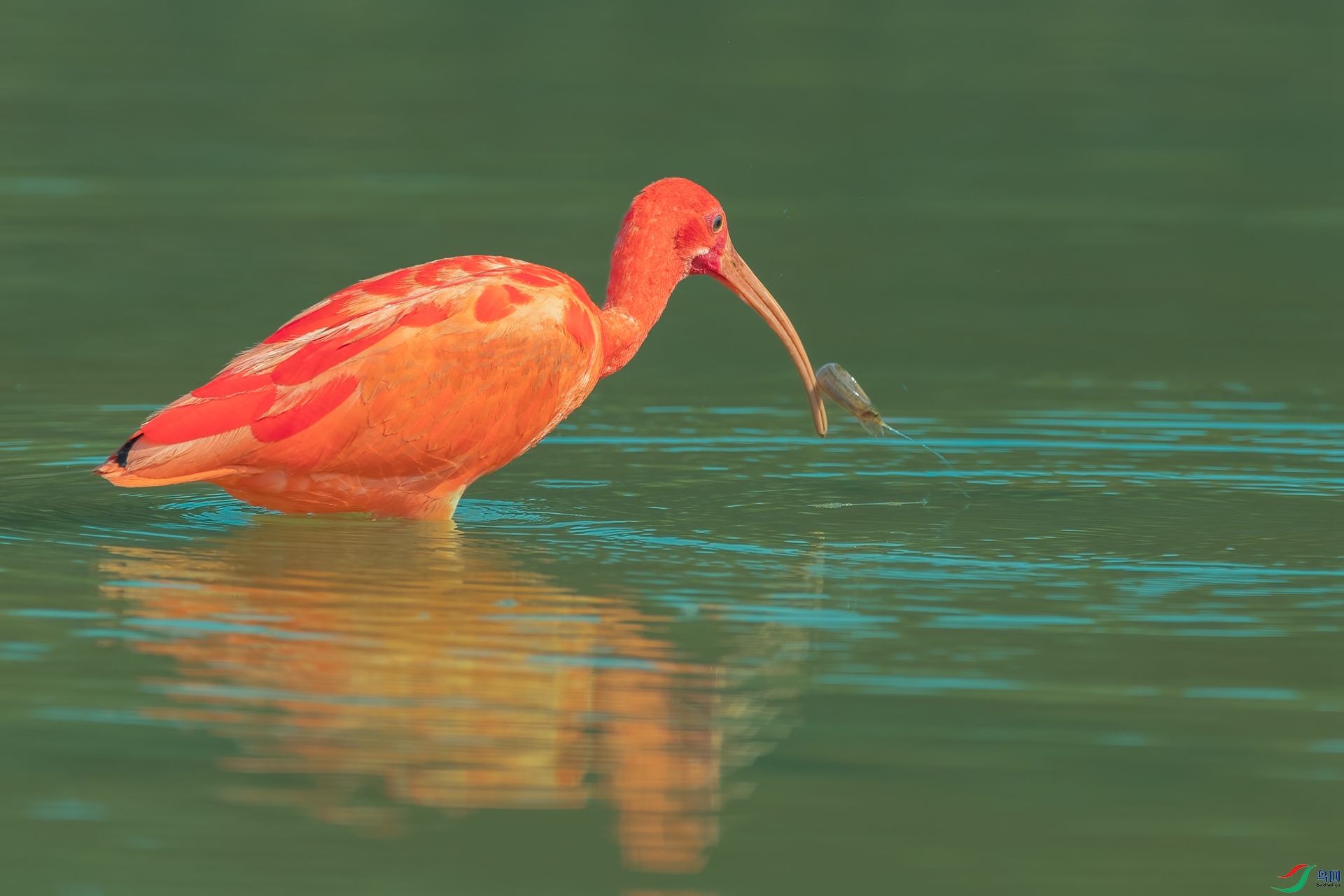 B86I5657 _����.jpg