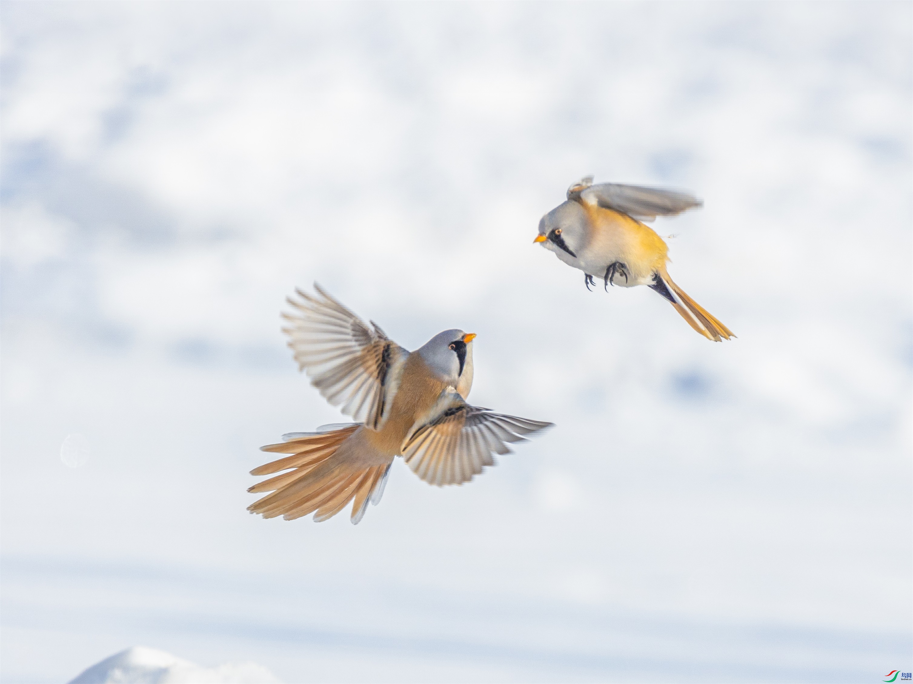 1K3A2871 ����1.jpg