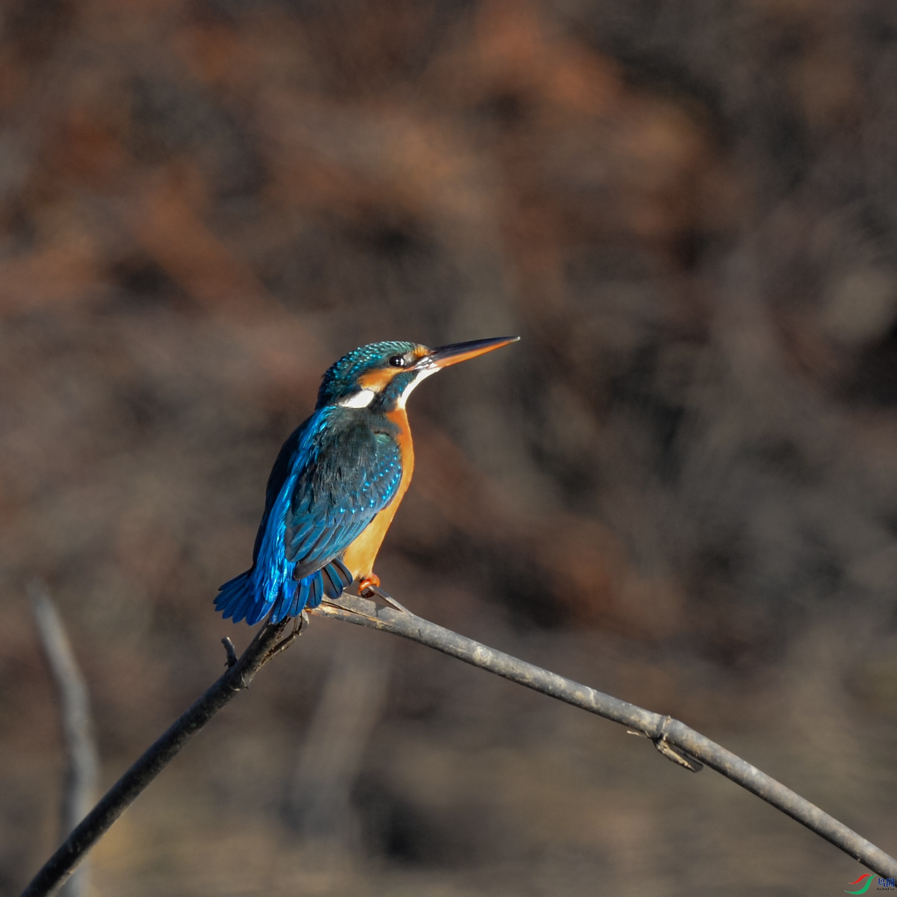 DSC_2848.jpg