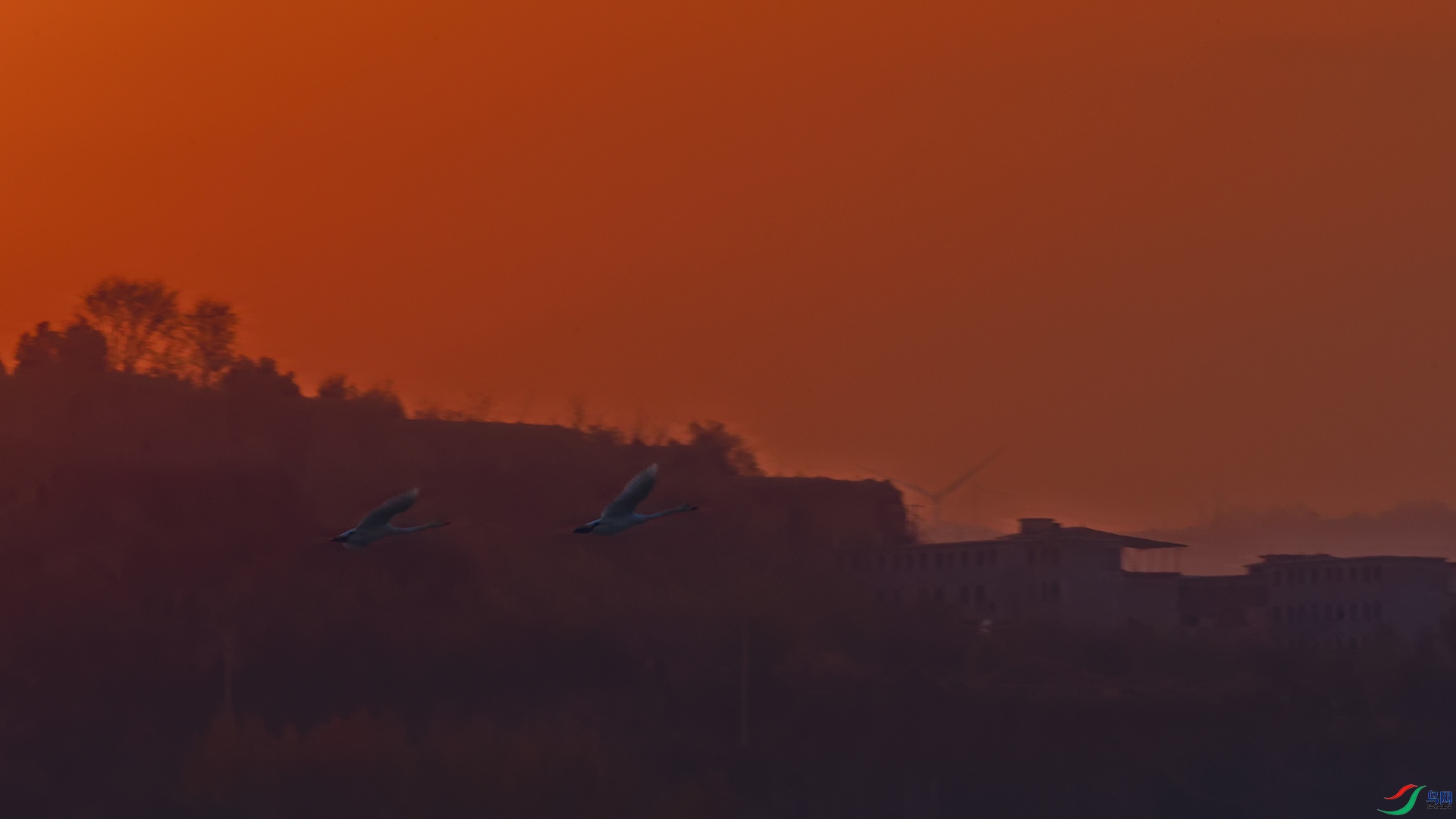 DSC_2999_DxOa.jpg